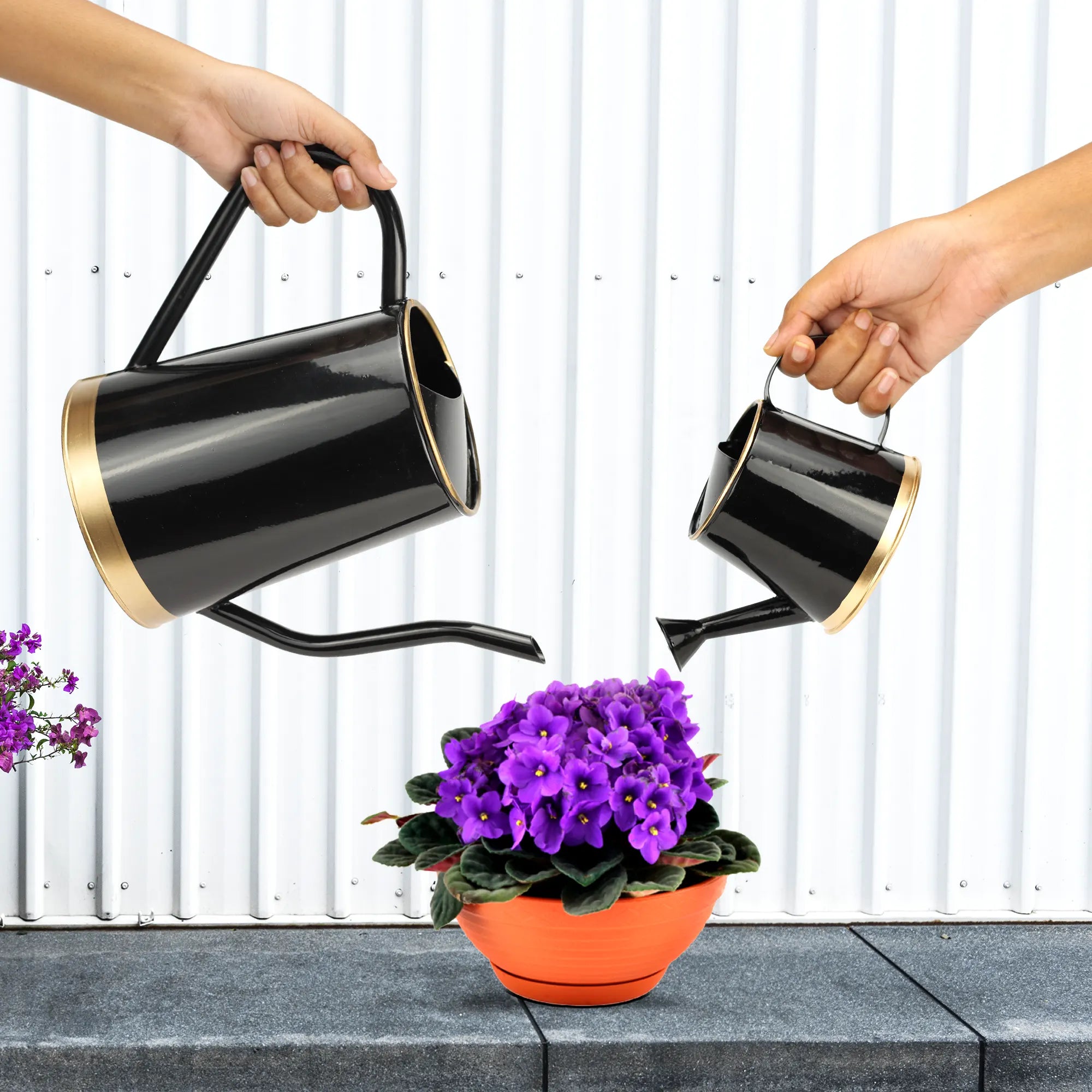 [Pack of 2] Watering Can Big & Small Home & Garden Urban Plant Black 
