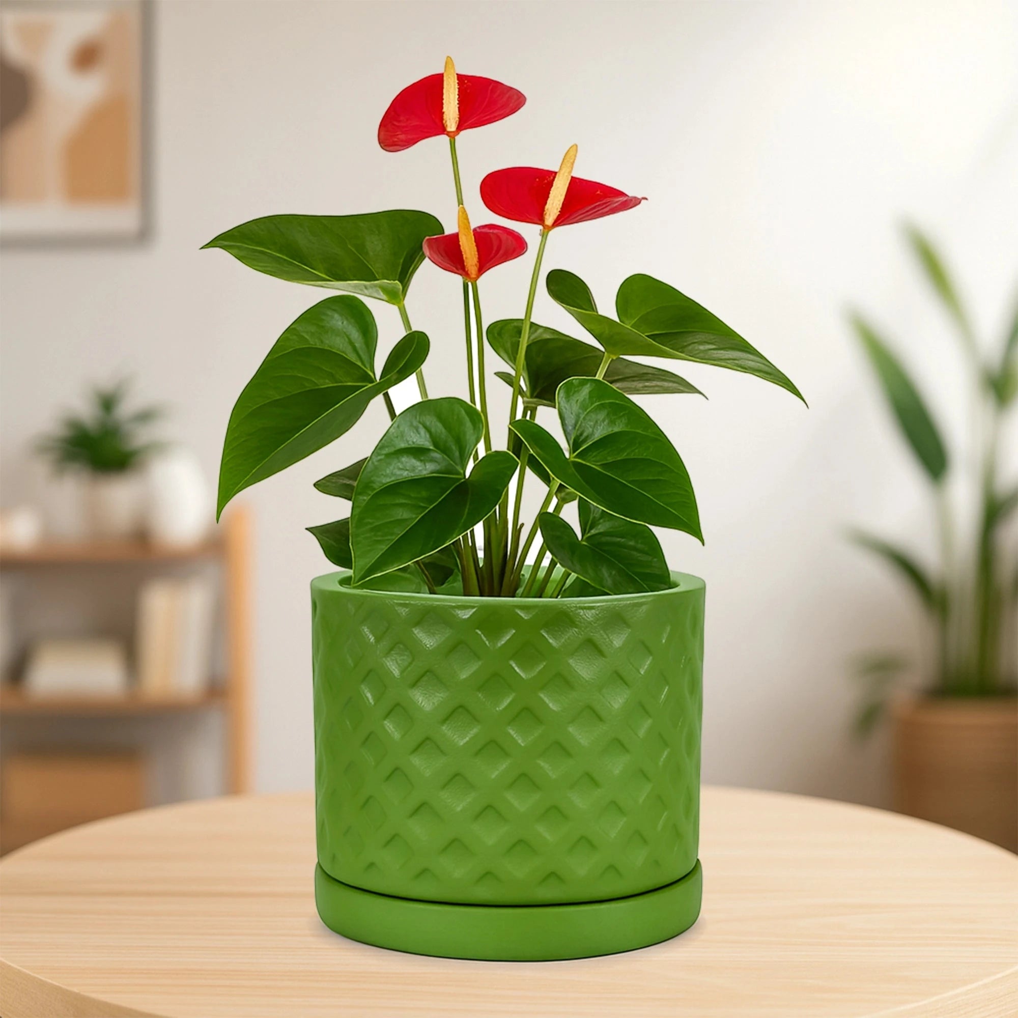 Fresh Breath Terracotta Pot with Saucer Urban Plant Diamond 