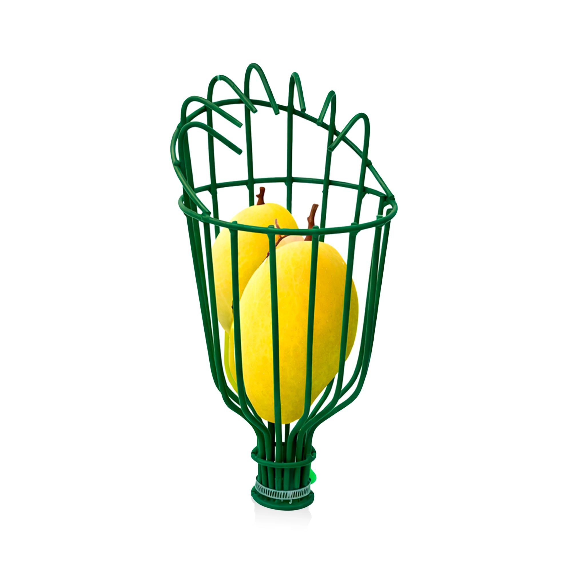 Urban Plant Fruit Picker Plucking Tool (Pole Not Include)
