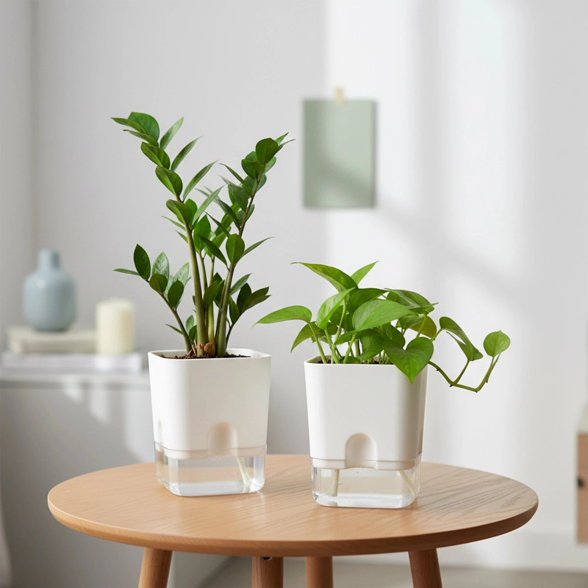 Aquaflow Self Watering Pot Plastic Pot Urban Plant White 2 