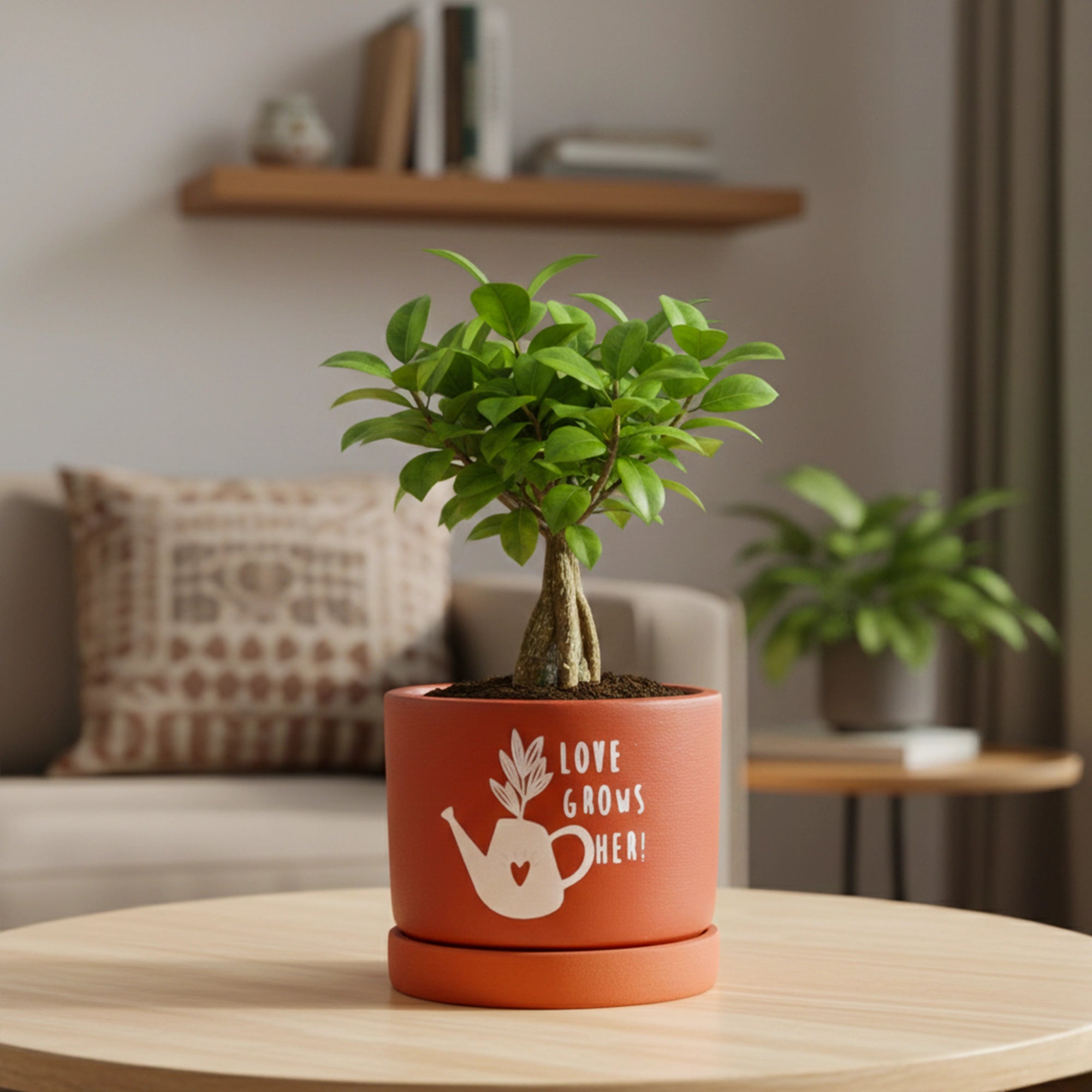 Joy Root Terracotta Pot with Saucer