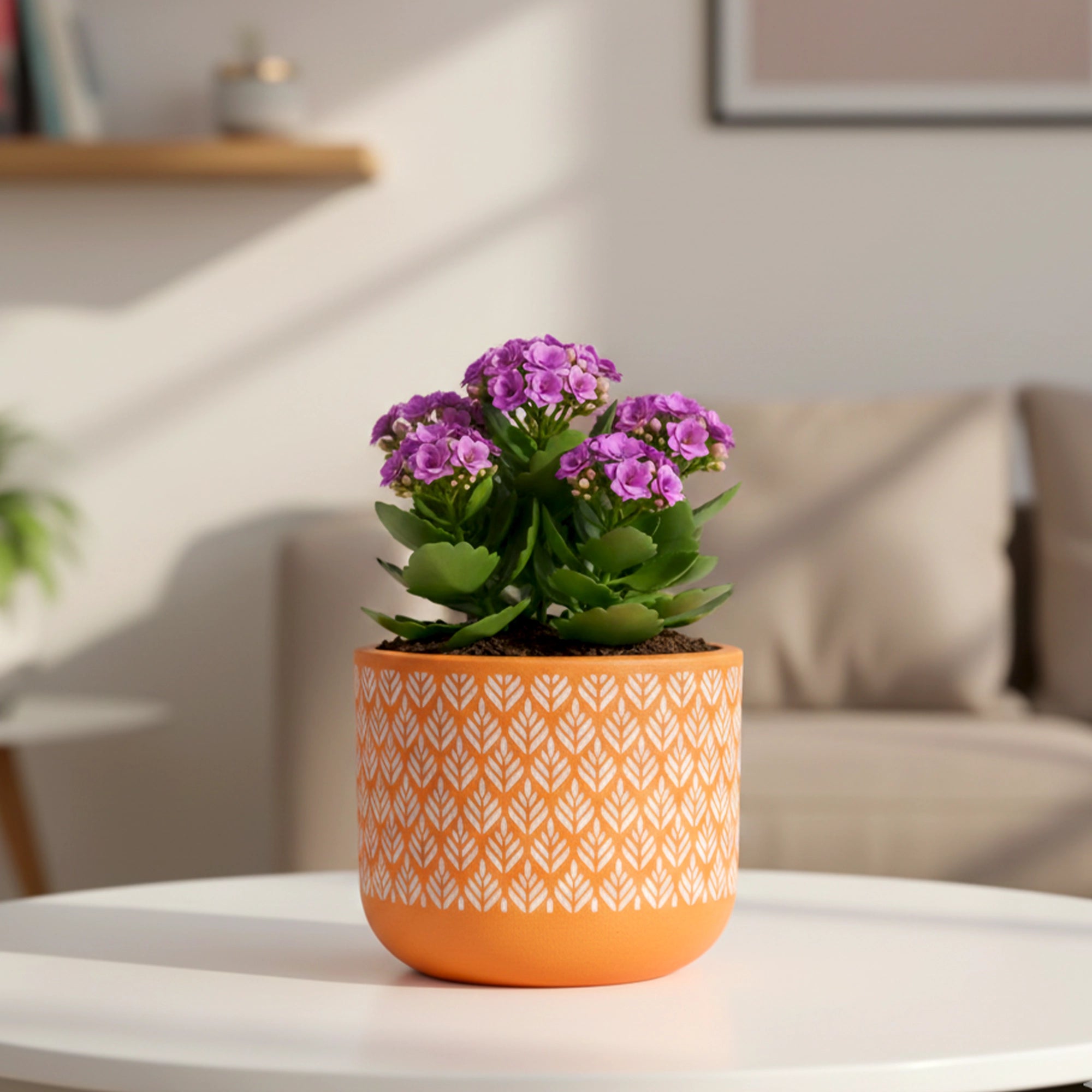 Virasat Terracotta Pot