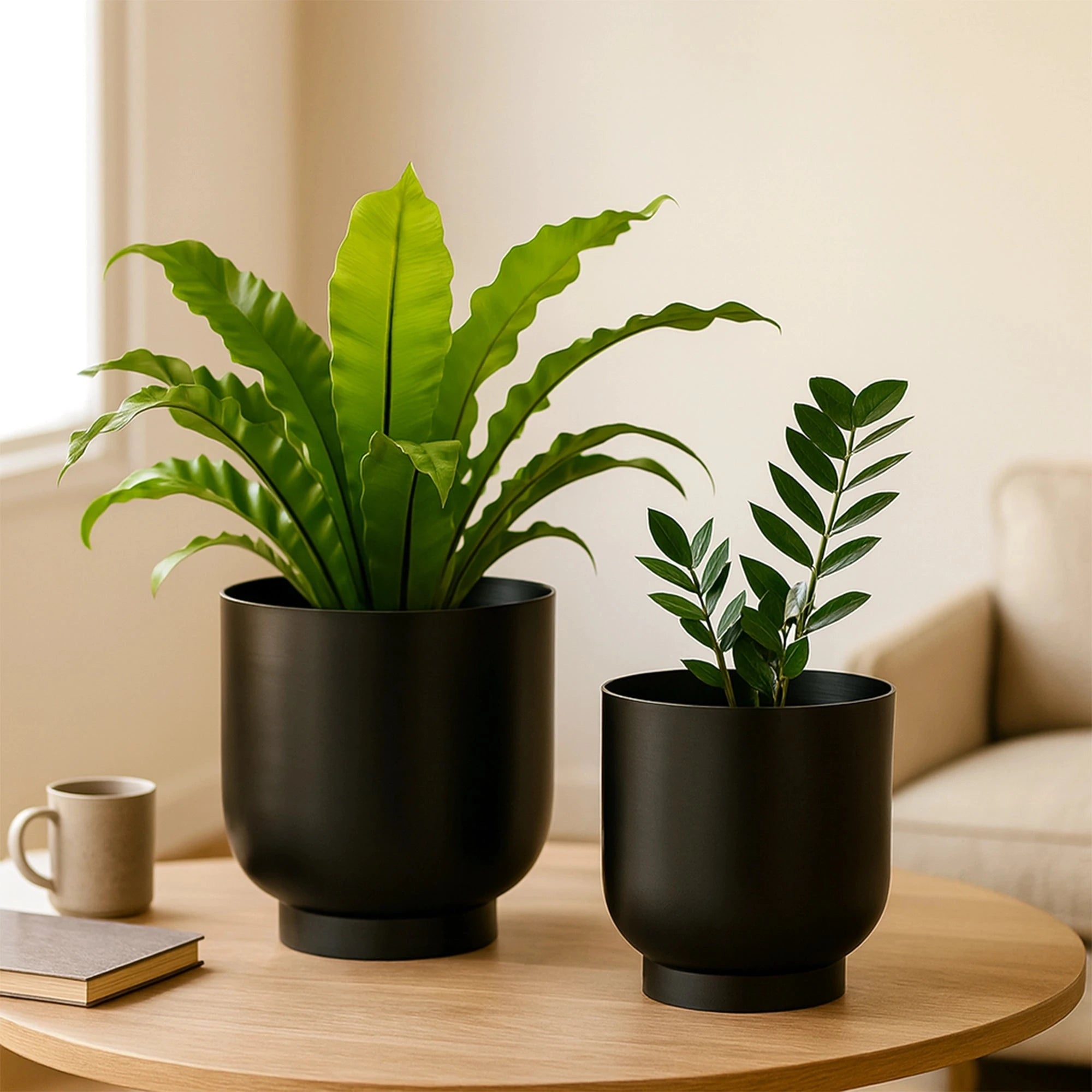 Orchid Metal Planter Metal Planter Urban Plant Black 