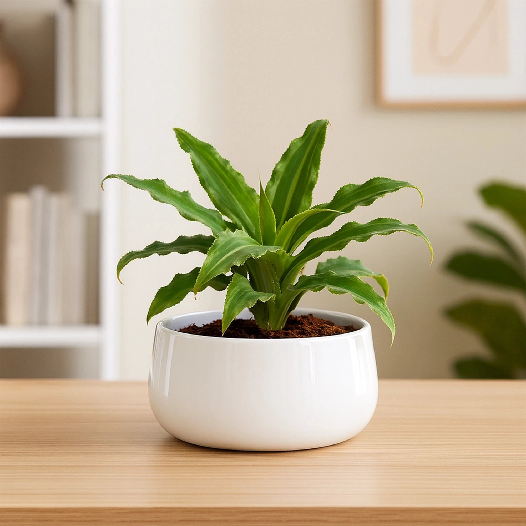 Metalix Metal pot Metal Planter Urban Plant White 