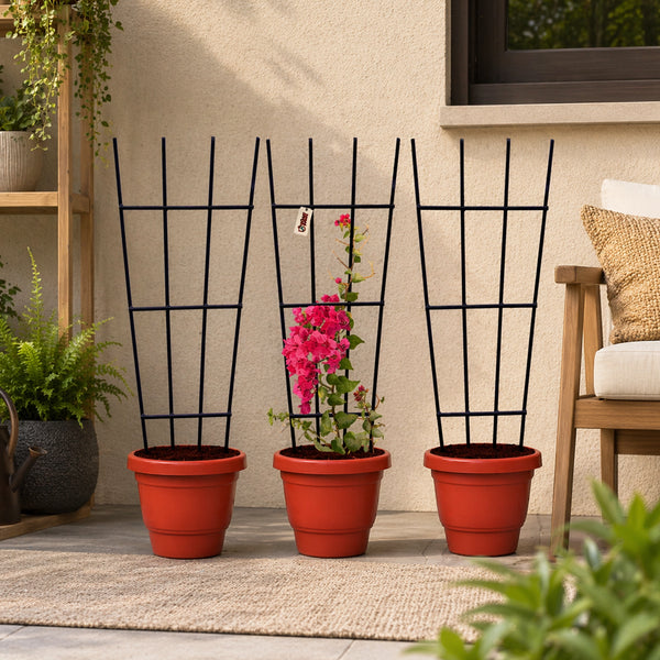 Urban Plant Greenweave Trellis for Climbing Plants Gardening Accessories Urban Plant Pack of 3 