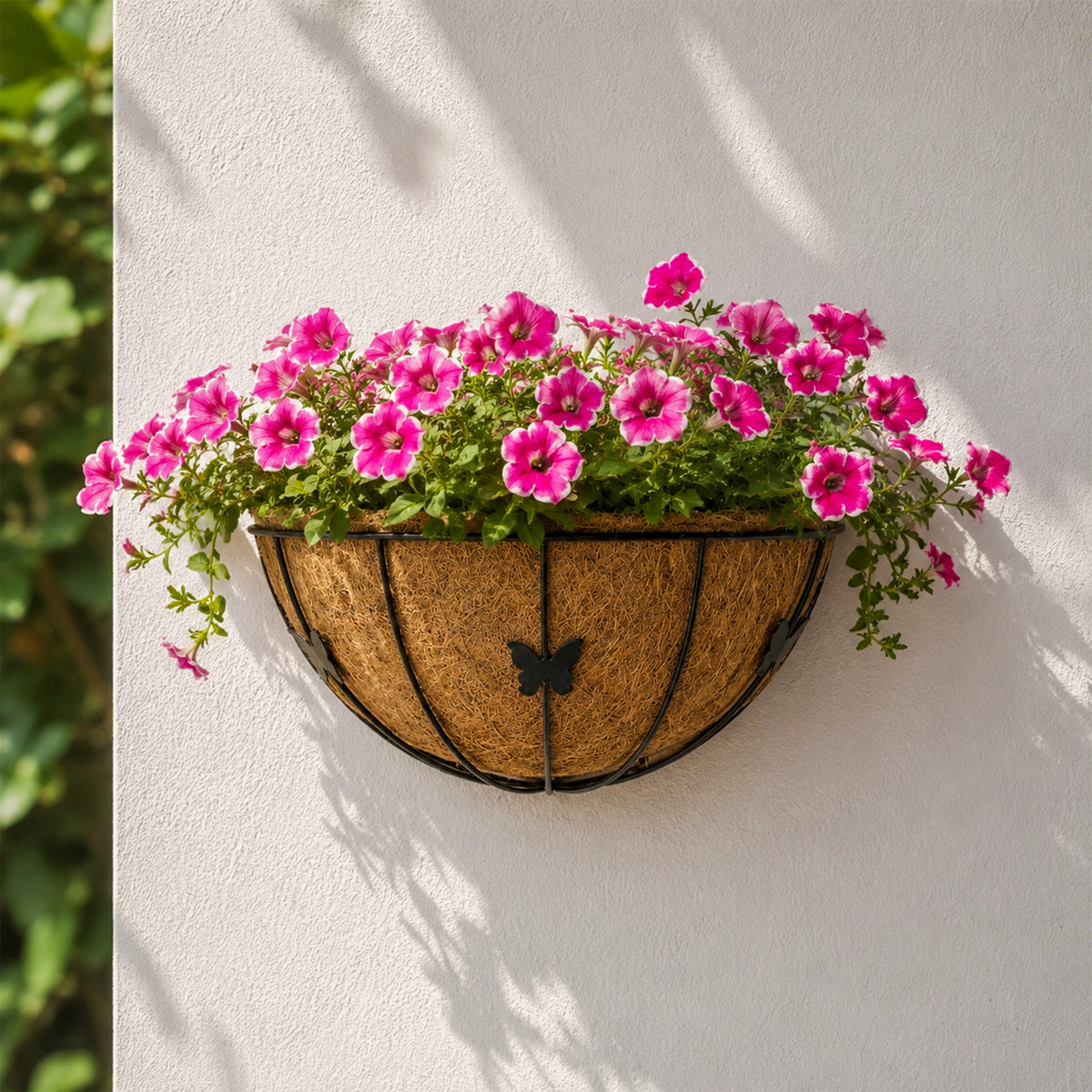 Half Moon Coir Wall Planter – Set of 1