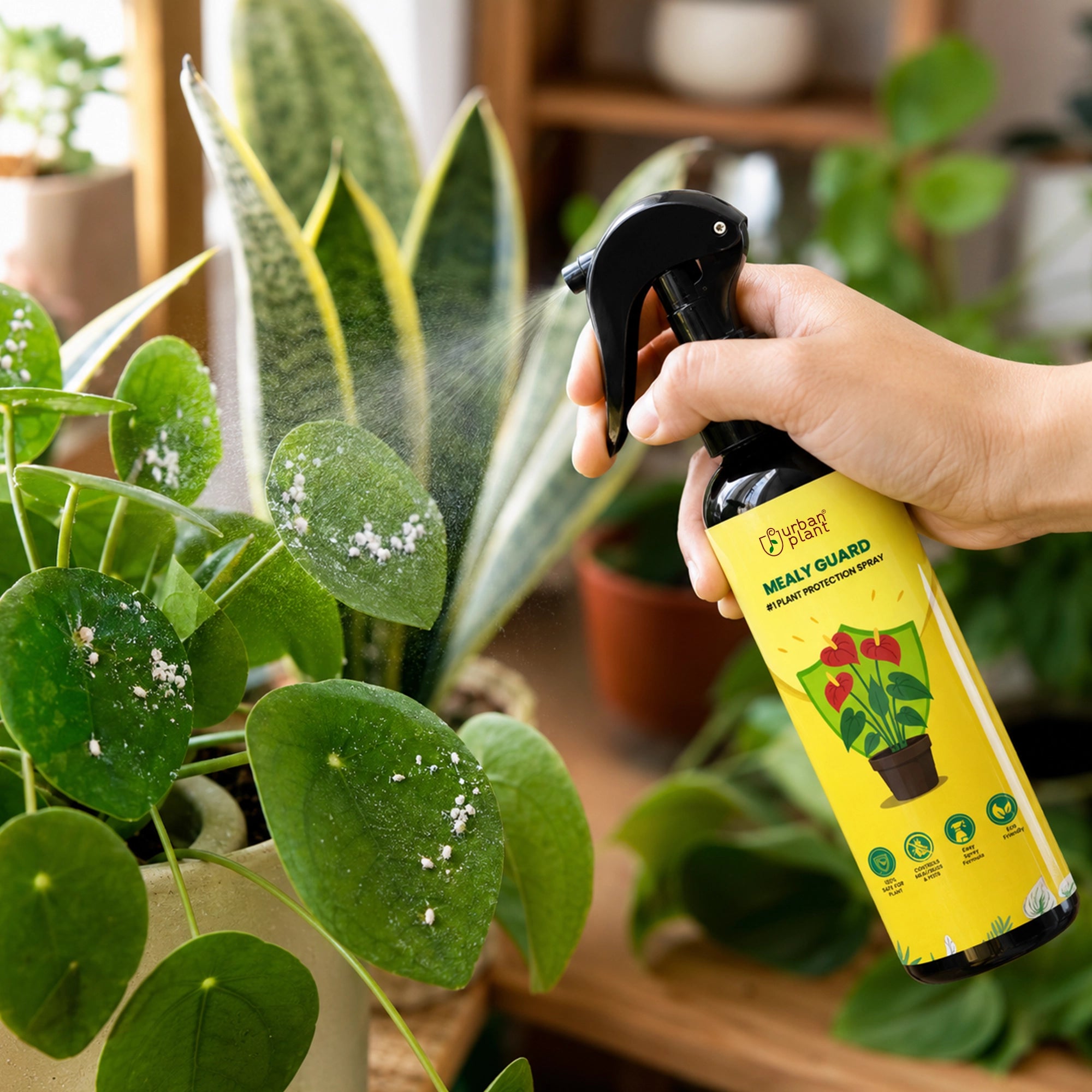 Urban Plant Mealy Guard – Natural Plant Protection Spray for Mealy Bugs & Pests