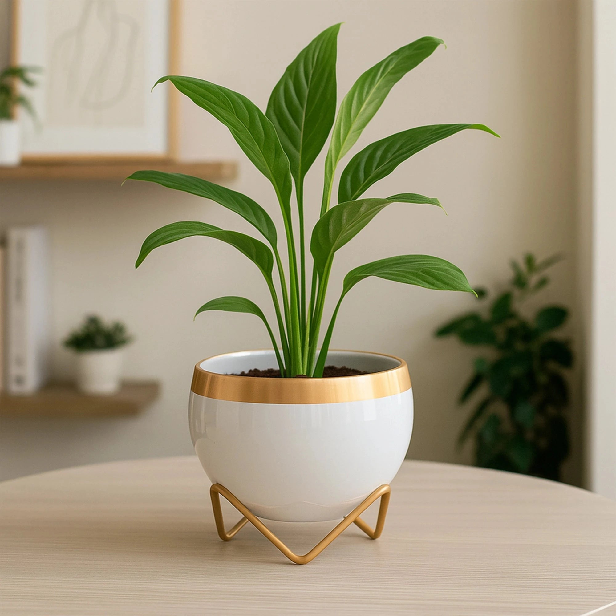 Petite Metal Pots Metal Planter Urban Plant White Gold 