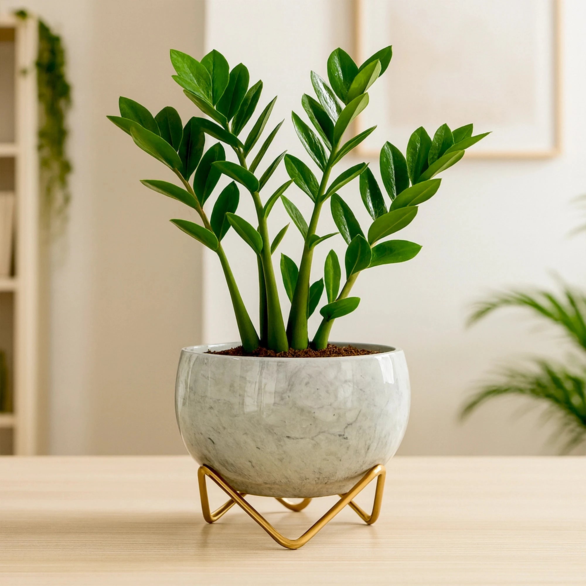 Petite Metal Pots Metal Planter Urban Plant 