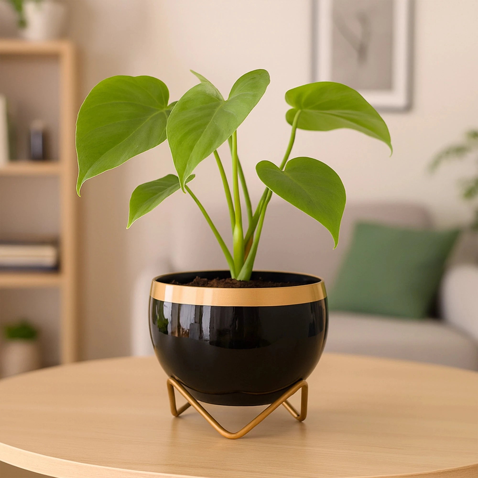 Petite Metal Pots Metal Planter Urban Plant Black Gold 