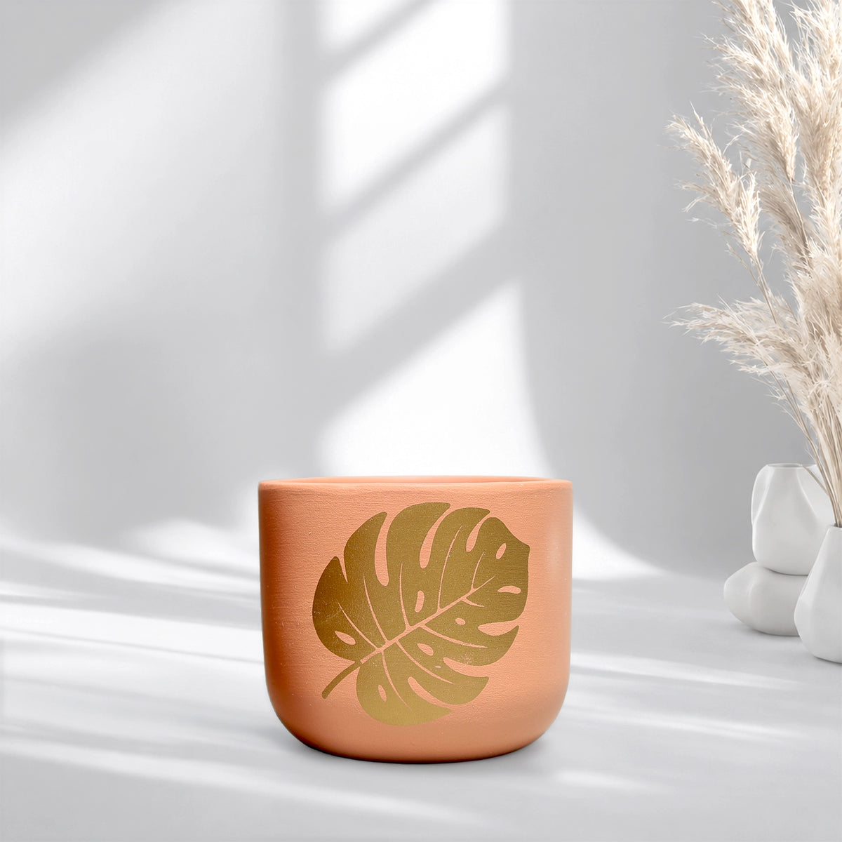 Urban Plant Monstera Muse Terracotta Pot Earth Gold