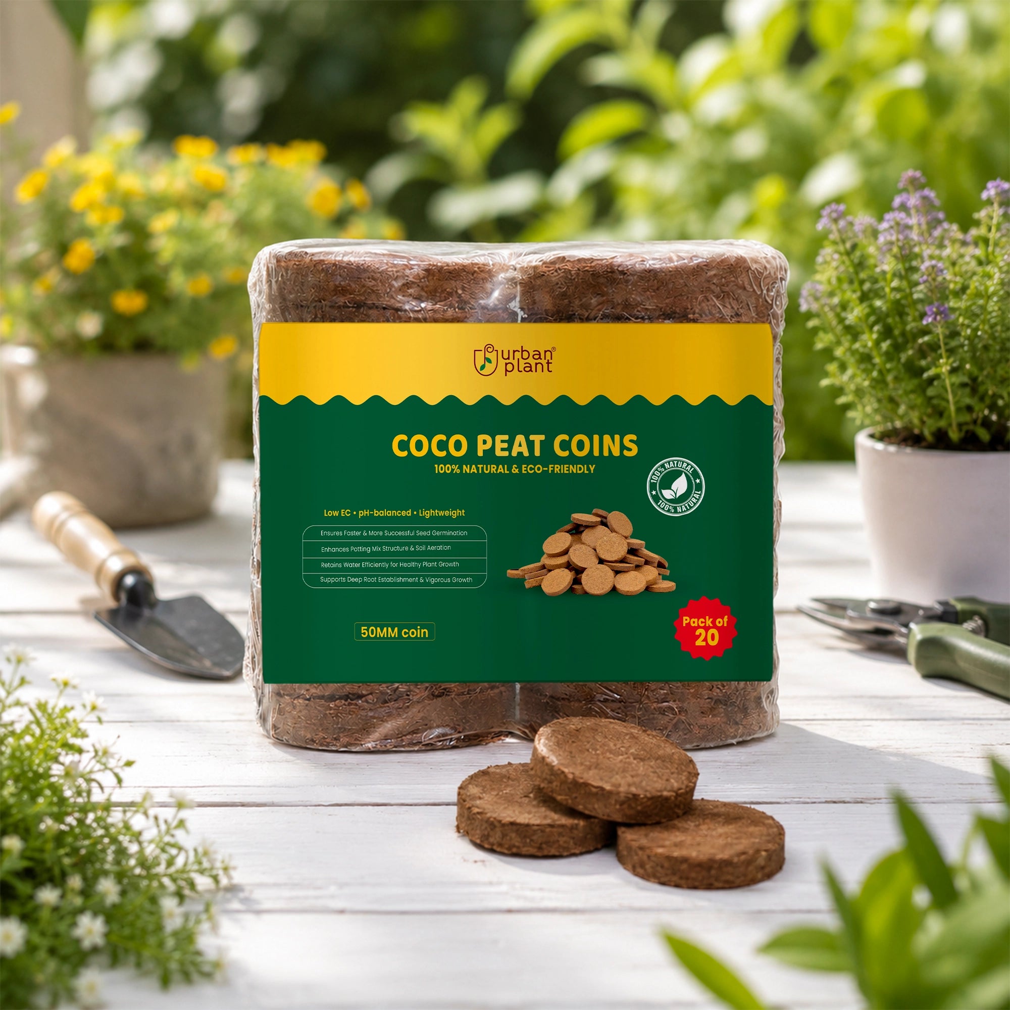 Cocopeat Seedling Coin