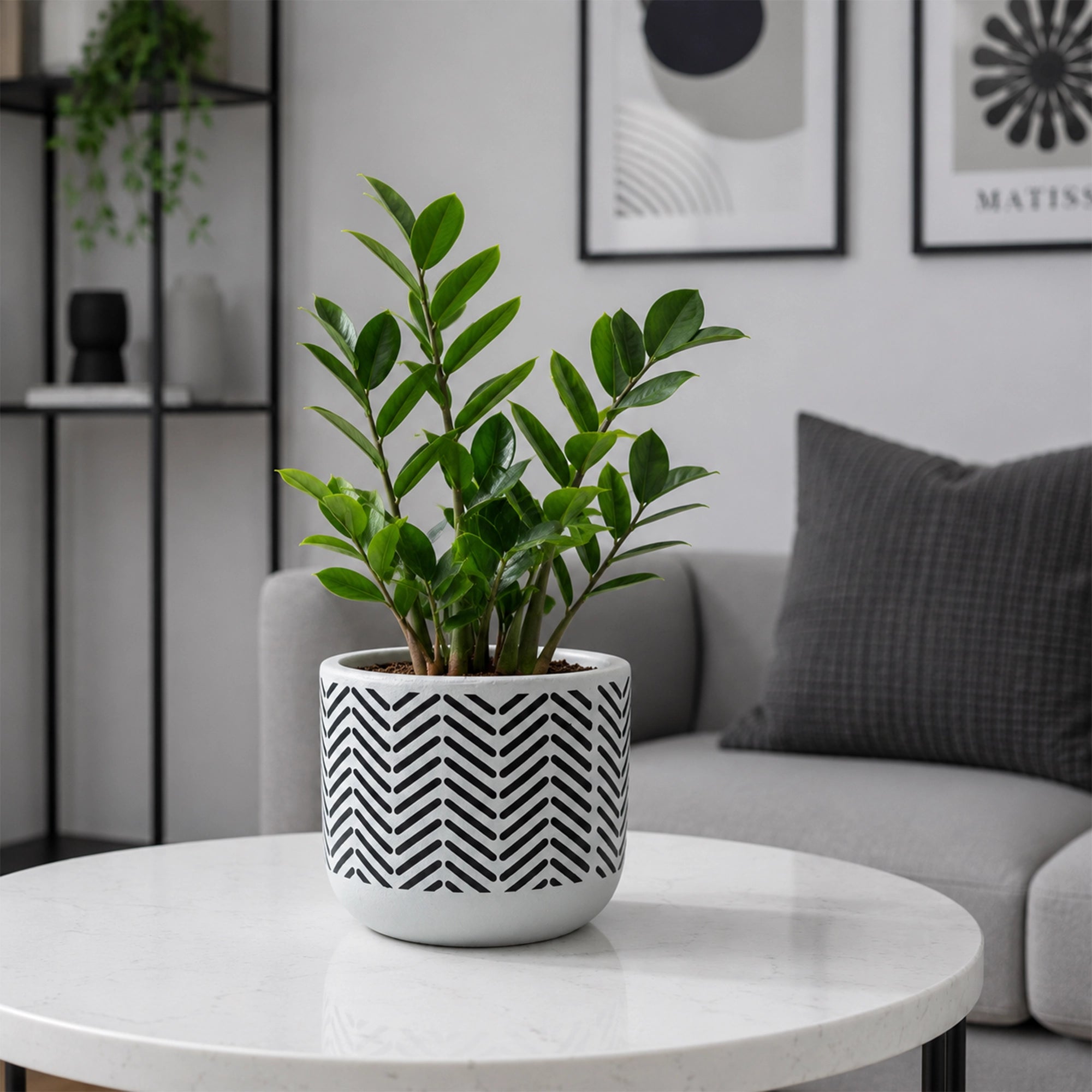 Neo Stripe Terracotta Pot in White Chevron with black geometric chevron pattern by Urban Plant