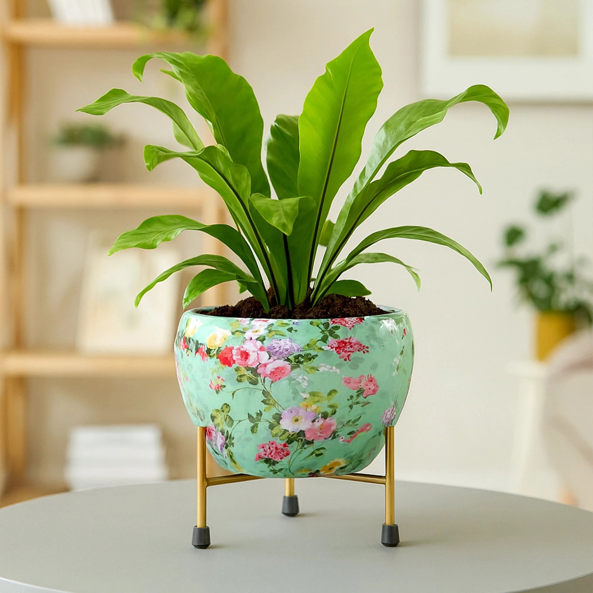 Mystic Metal Pot with Stand Metal Planter Urban Plant Aqua Flora 