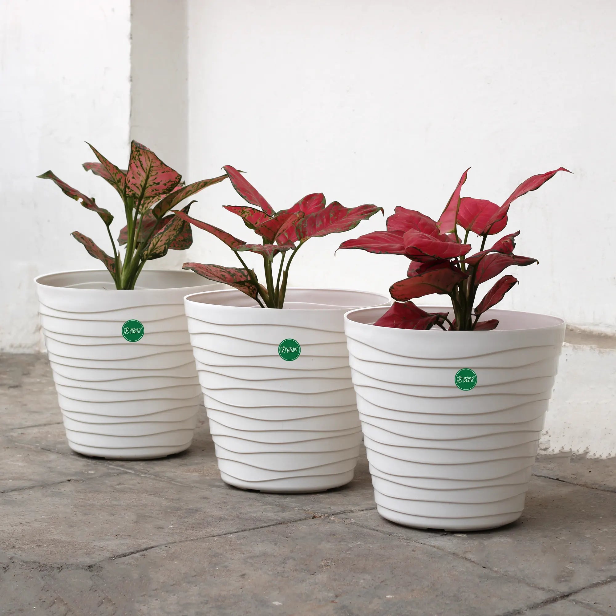 Plastic Matrix Pots Set of 3 Urban Plant White 