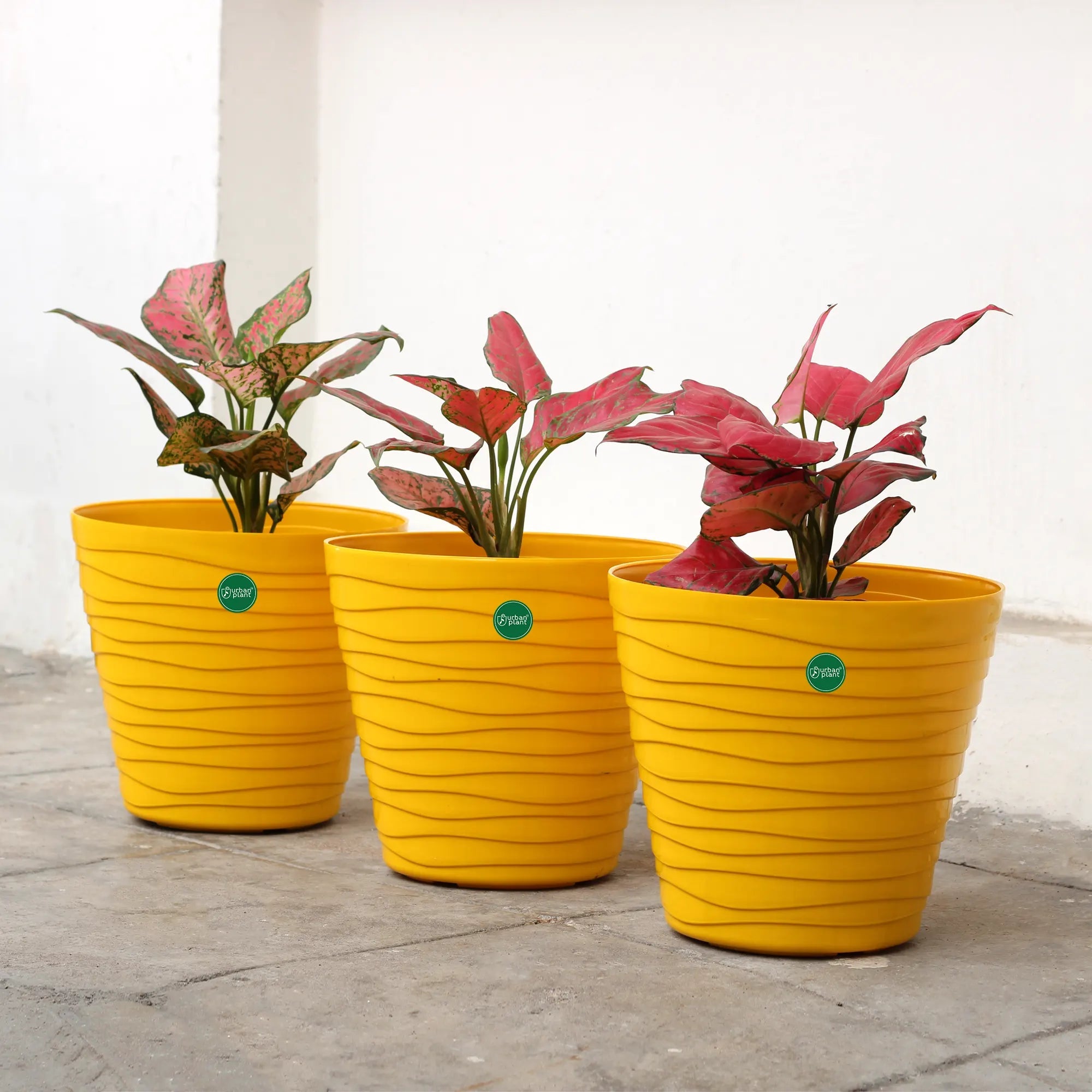 Plastic Matrix Pots Set of 3 Urban Plant Yellow 