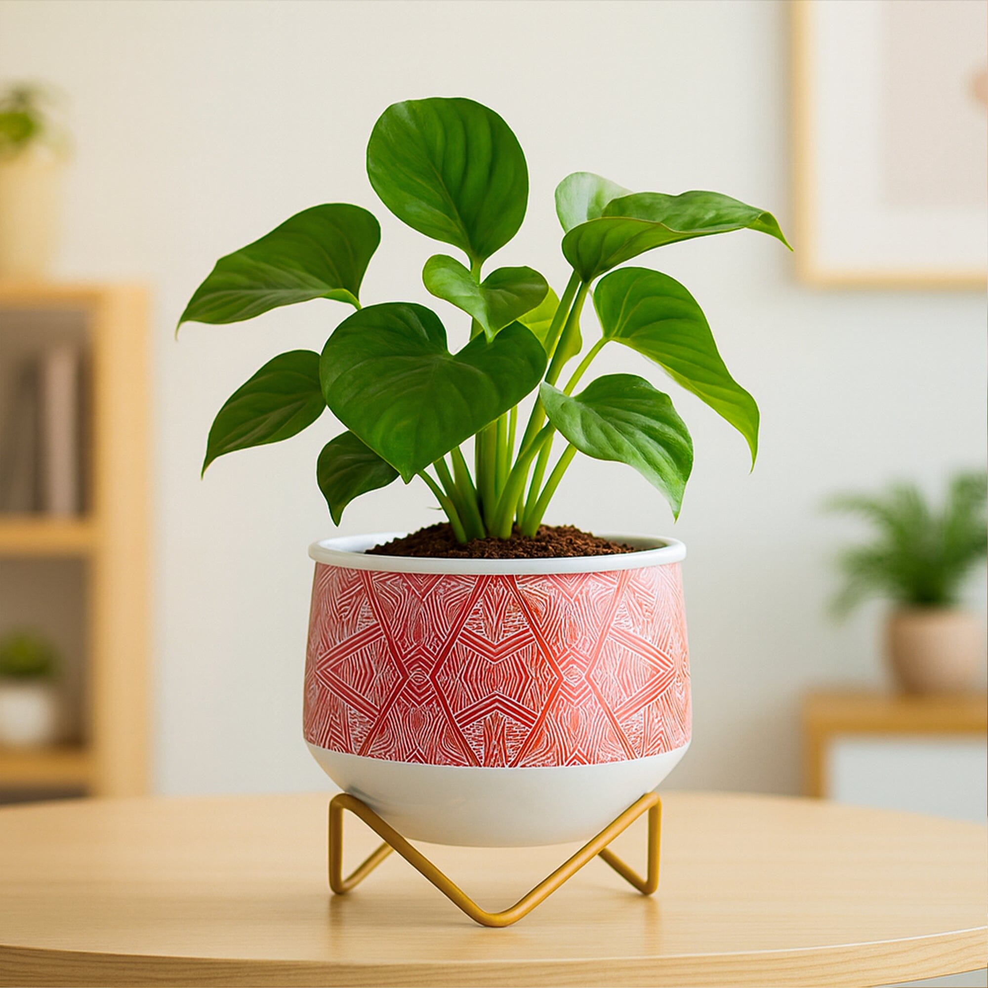Caramel Metal Planter Metal Planter Urban Plant Aipan Delight 