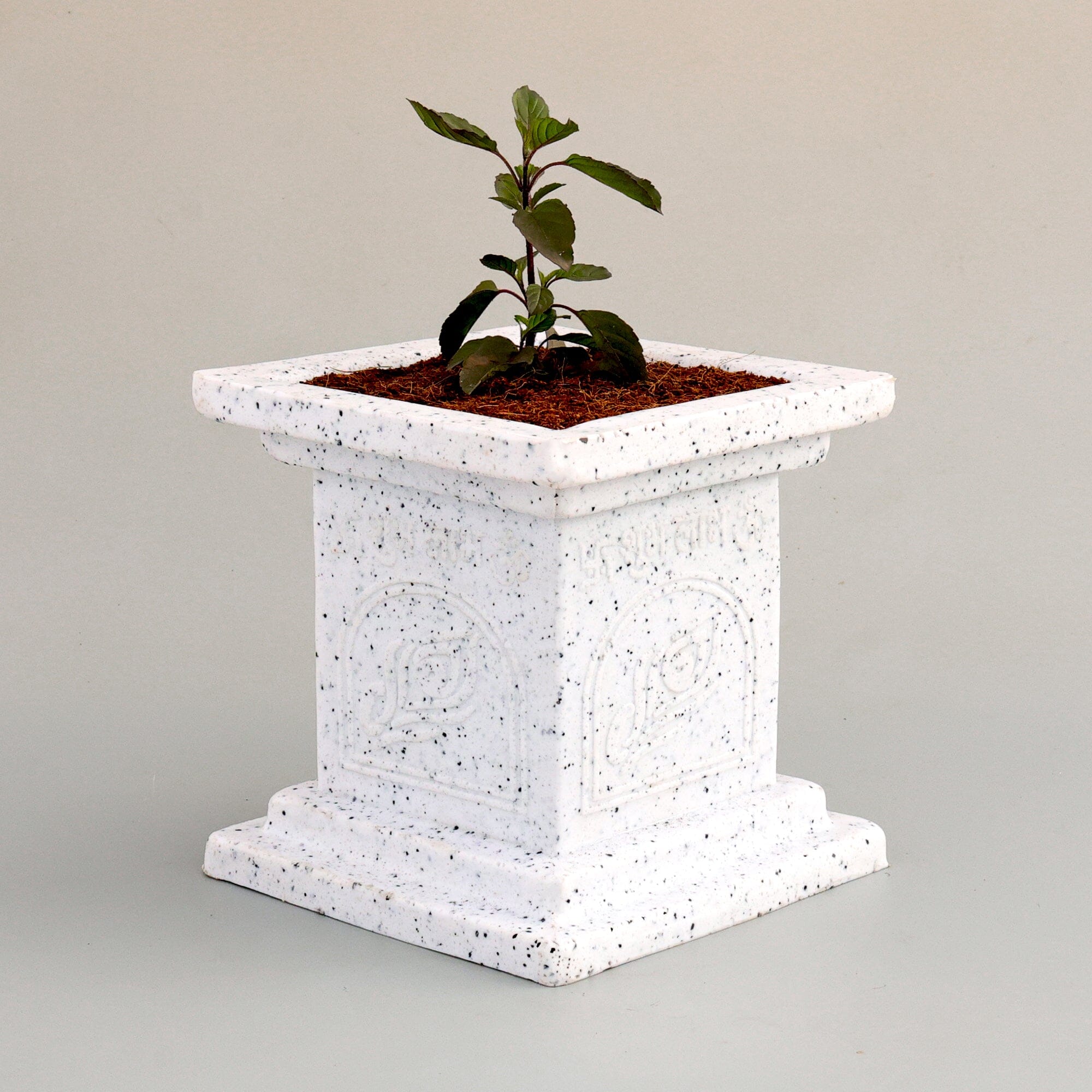 Tulsi Vatika Pot (White) Plastic Pot Urban Plant 