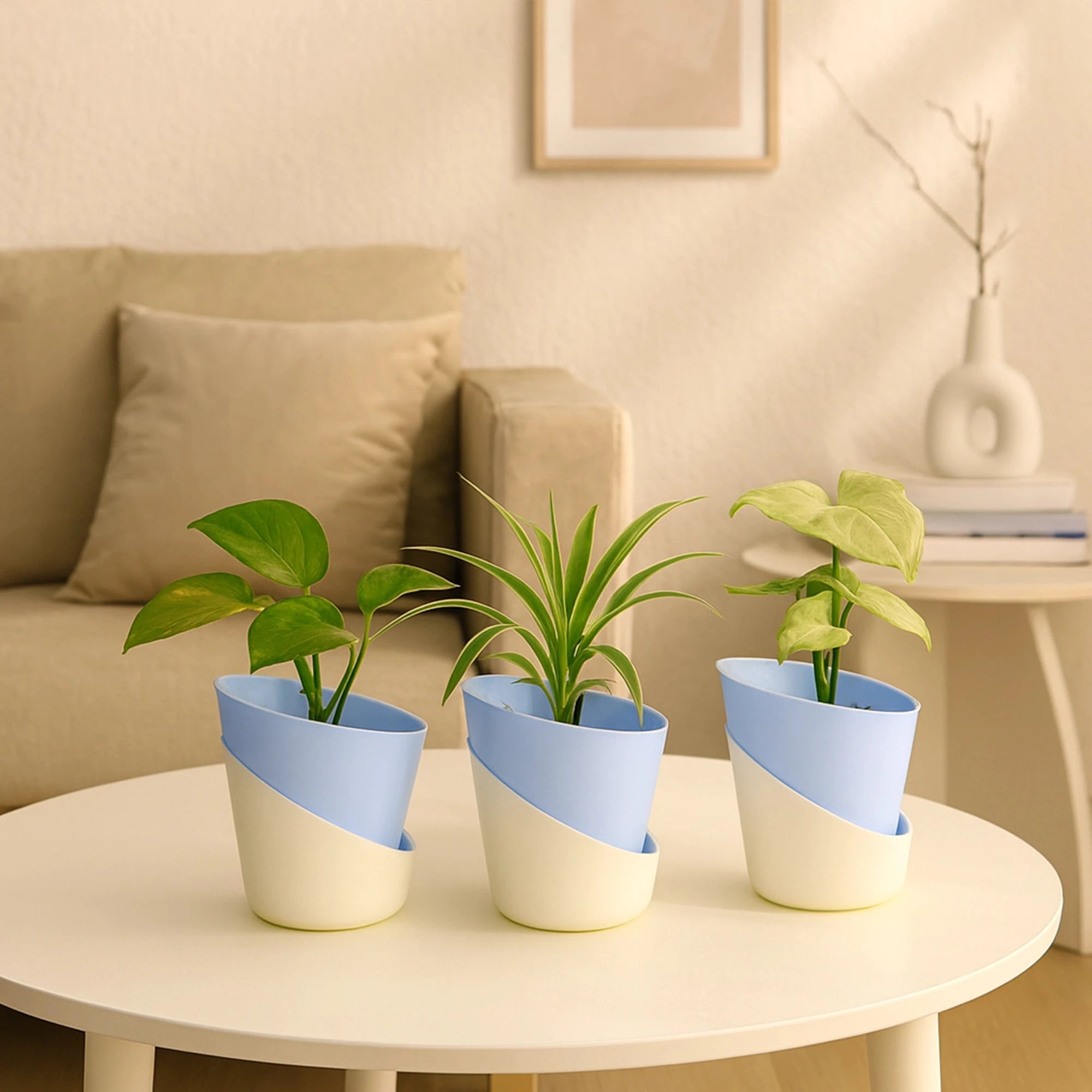 Satin Self Watering Pot Plastic Pot Urban Plant Blue 3 