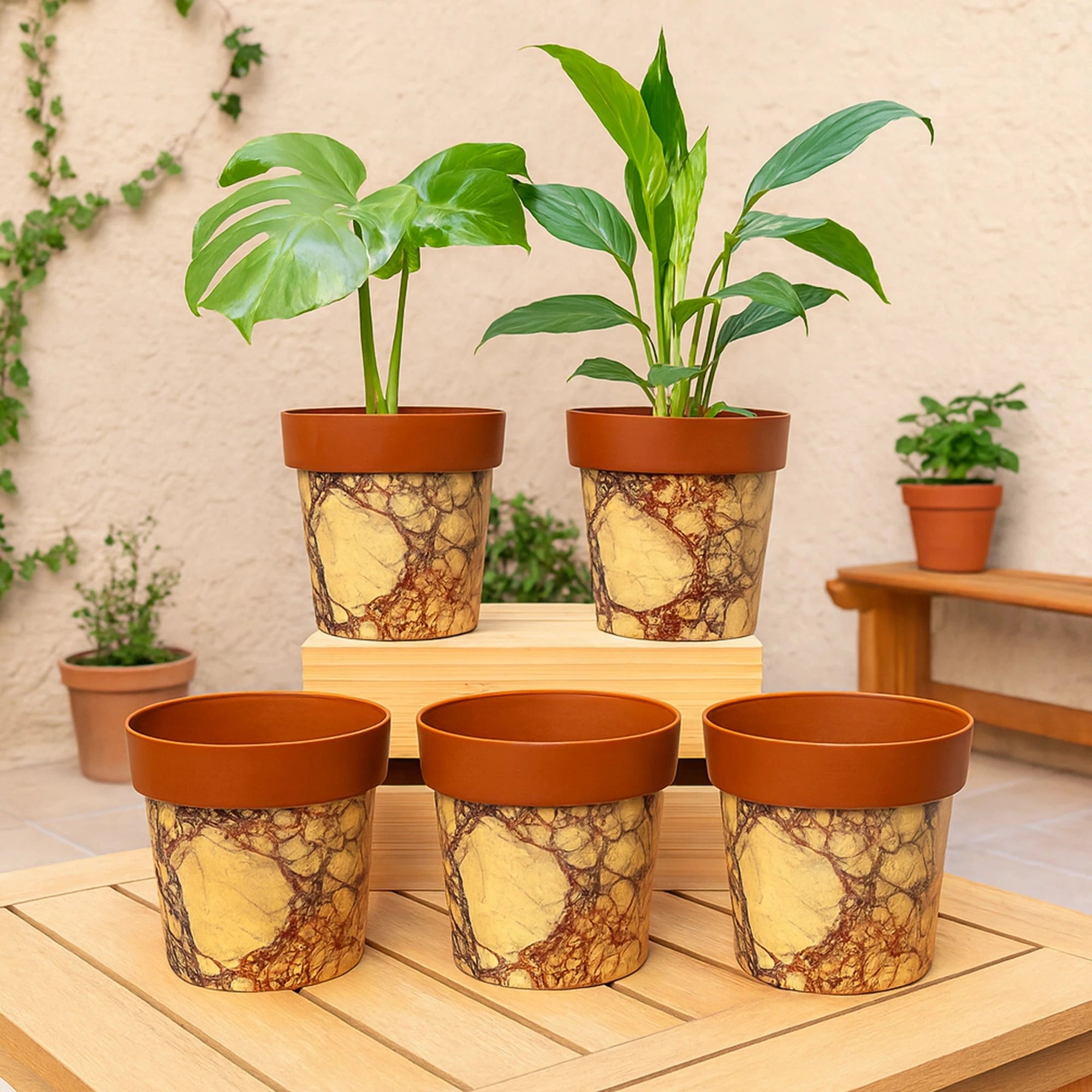 Colourpop Pots - (Set of 5) Plastic Pot Urban Plant 