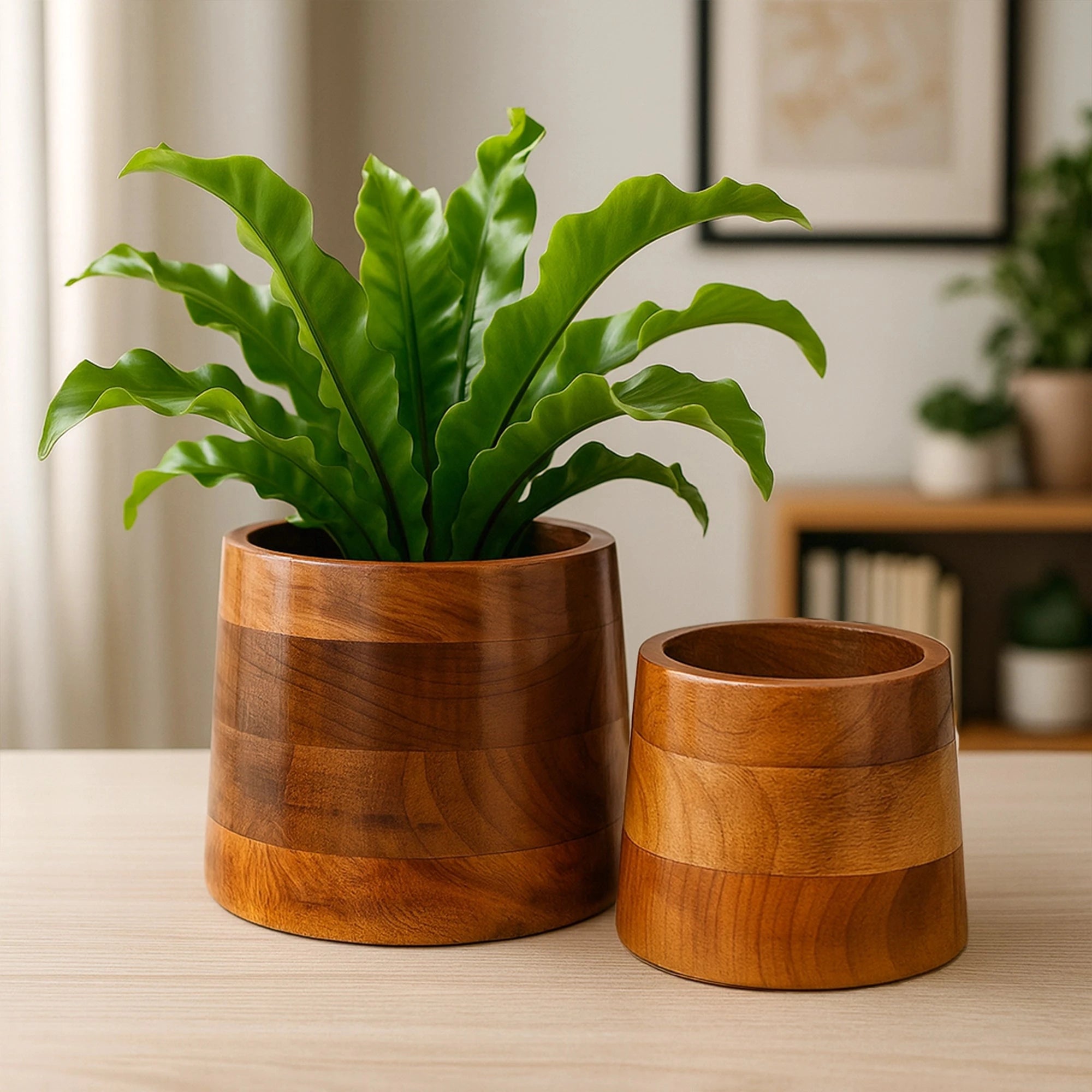 Aura Wooden Planters wooden planter Urban Plant 