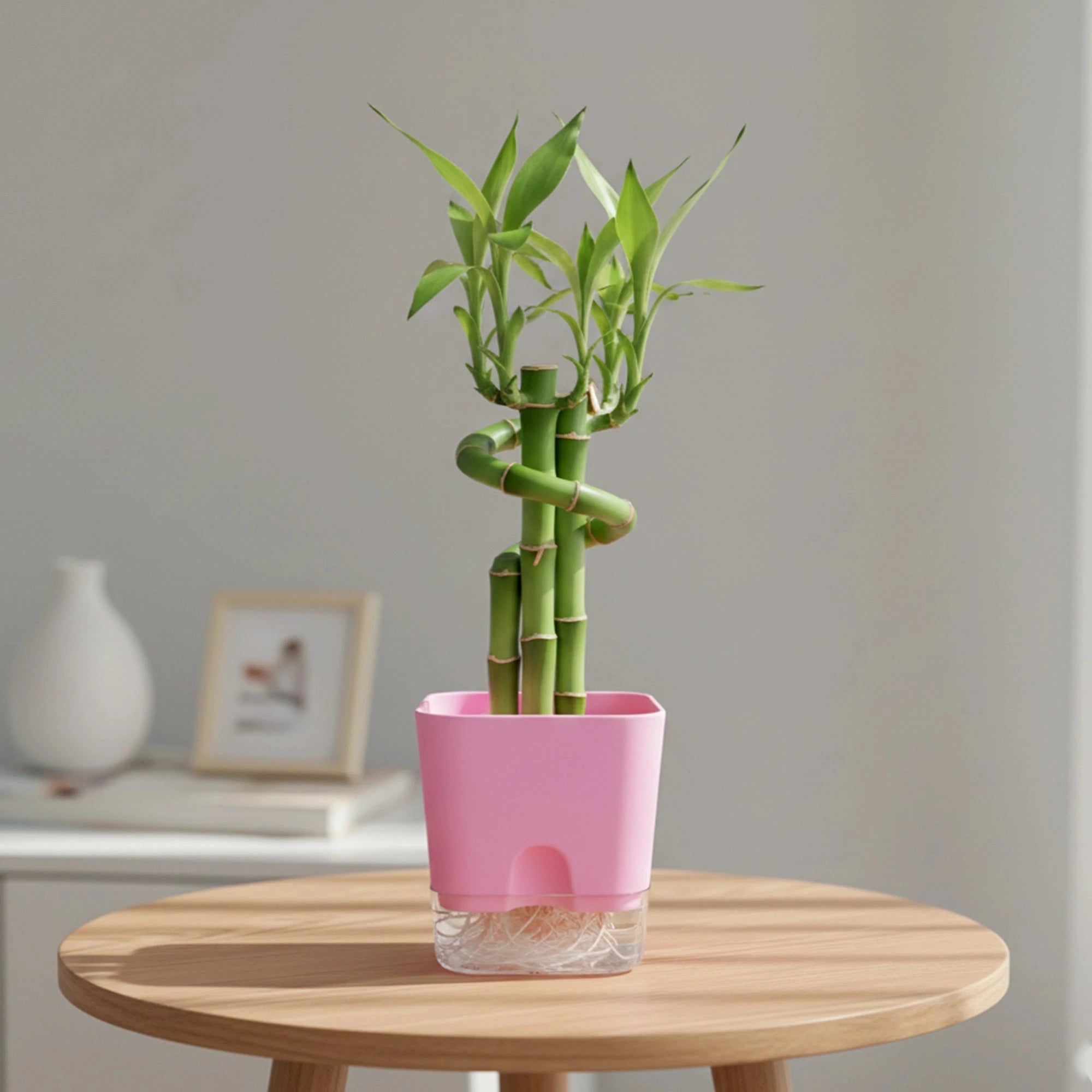 Aquaflow Self Watering Pot Plastic Pot Urban Plant Pink 1 