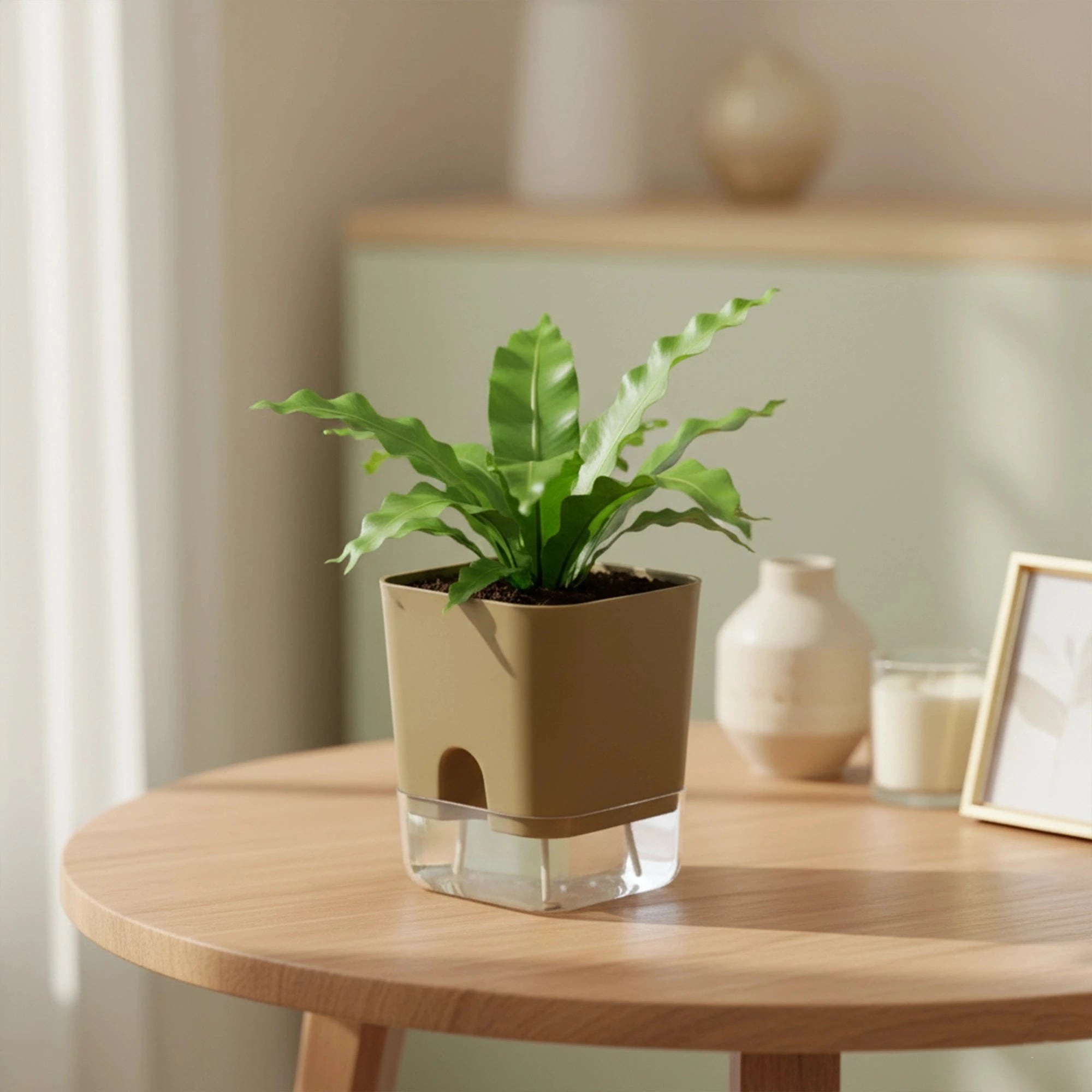 Aquaflow Self Watering Pot Plastic Pot Urban Plant Brown 1 