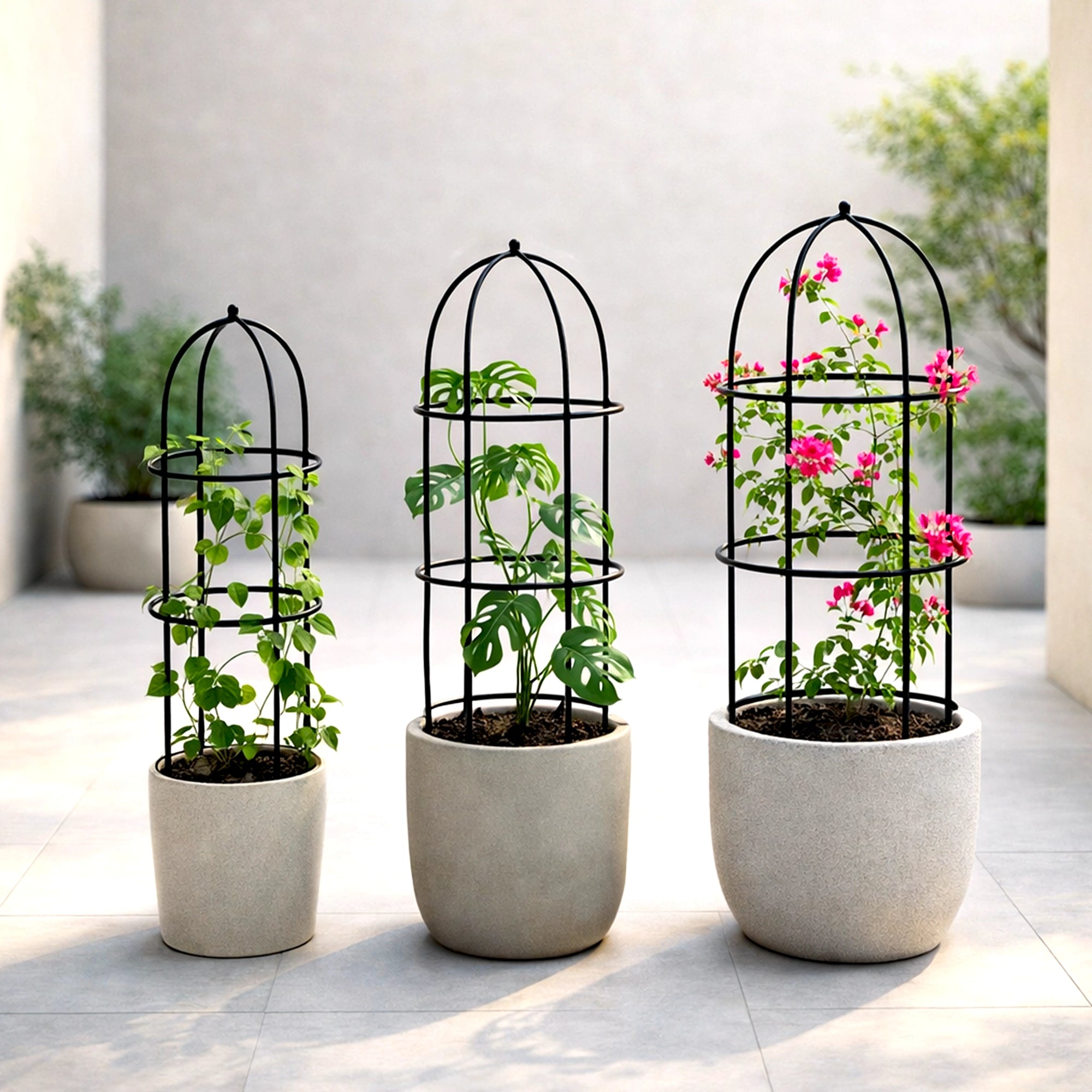 Urban Plant Trellis for Plant Protection - (Set of 3)