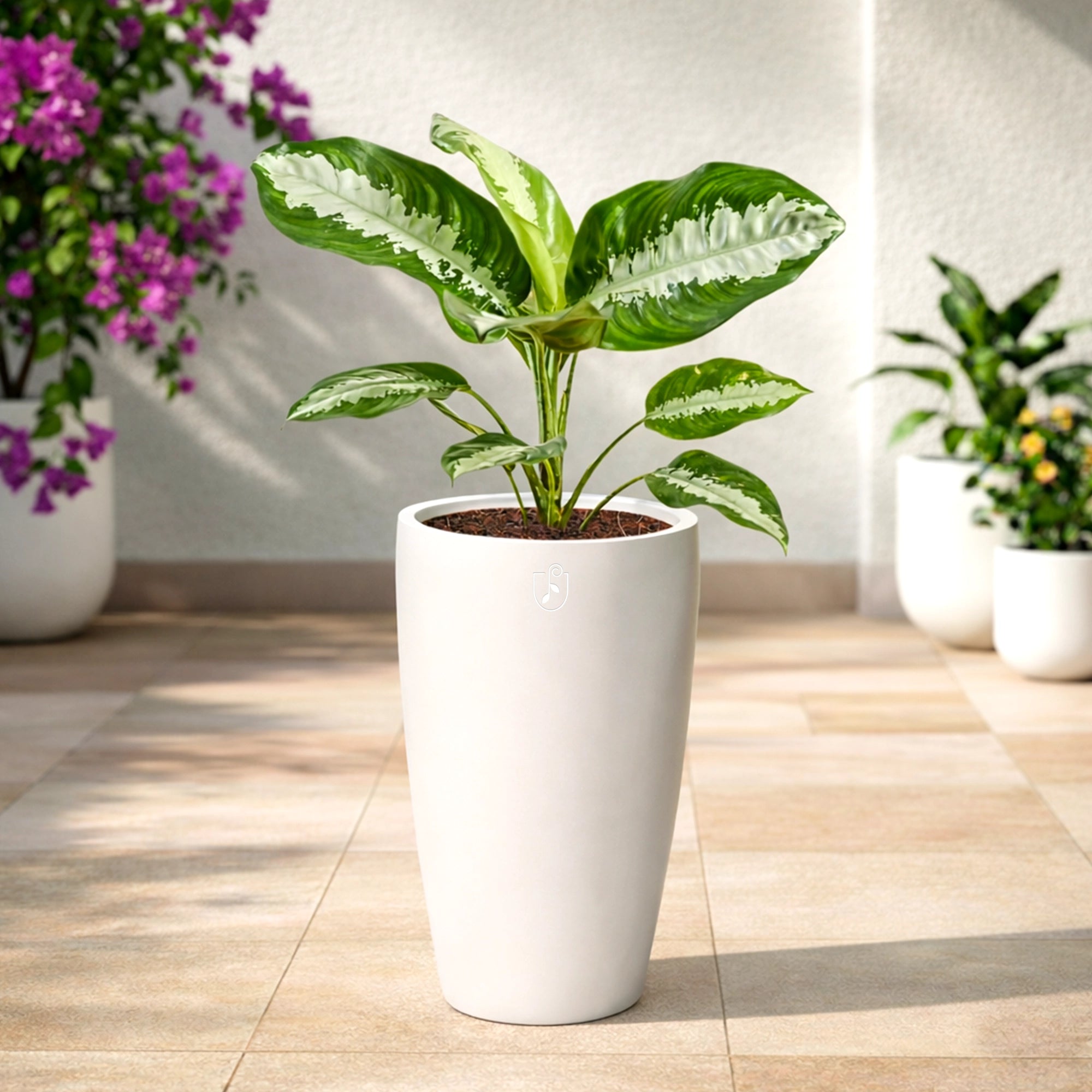 APEX Planter – T24 (5 Years Warranty)