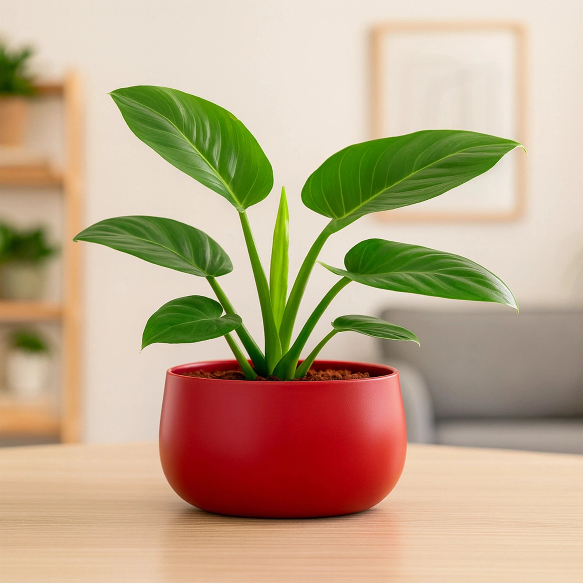 Metalix Metal pot Metal Planter Urban Plant Red 