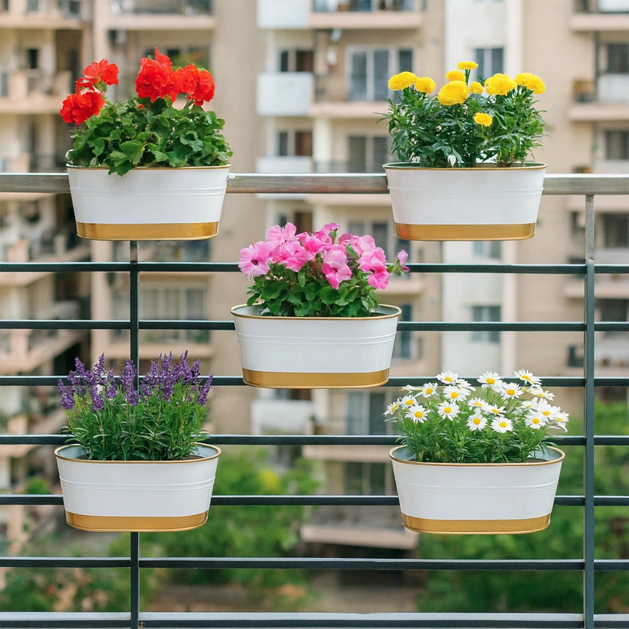 Curvian Hanging Planter - (Set of 5) Hanging Planter Urban Plant 