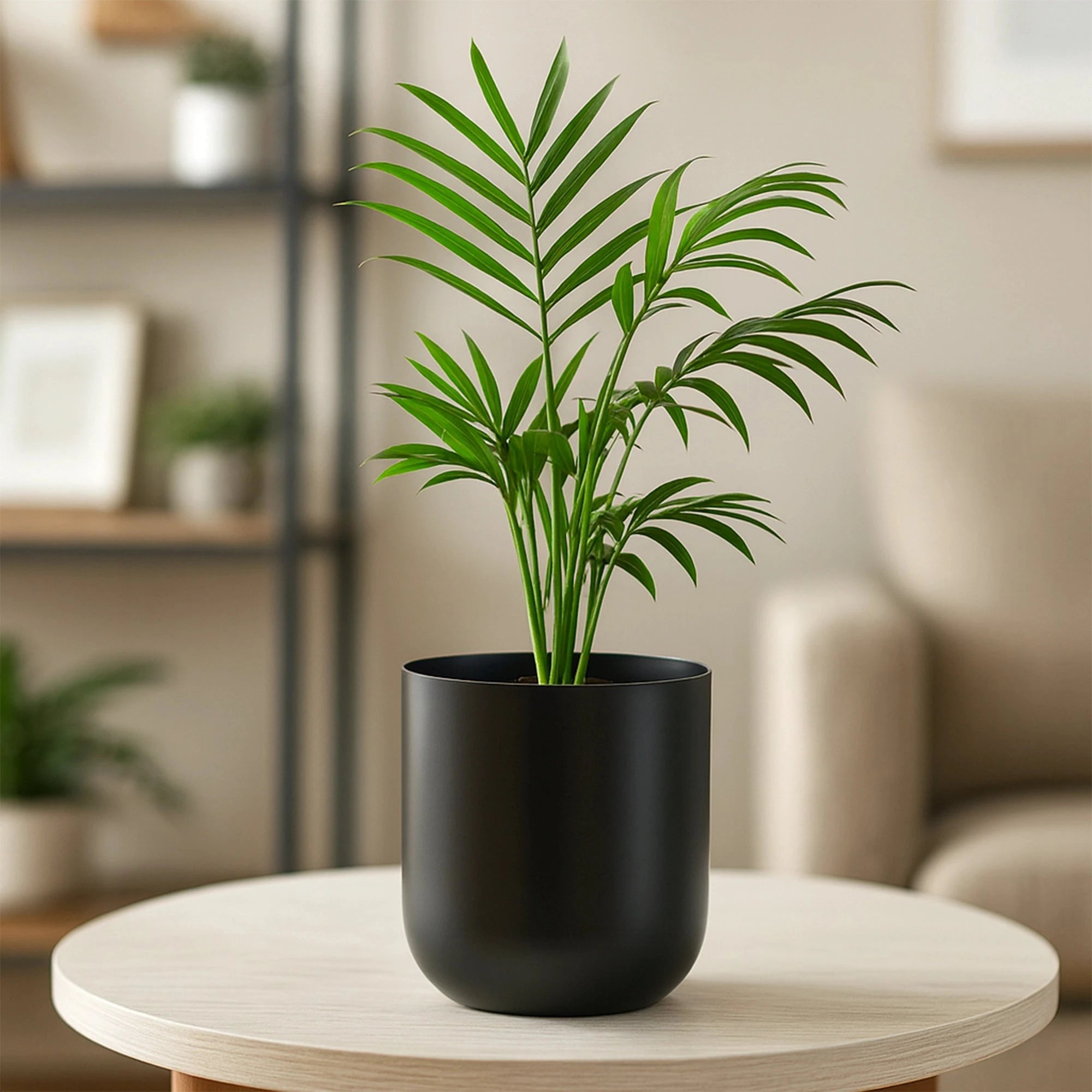 Metallic Miniature Planter (Black - Pack of 1) Metal Planter Urban Plant 