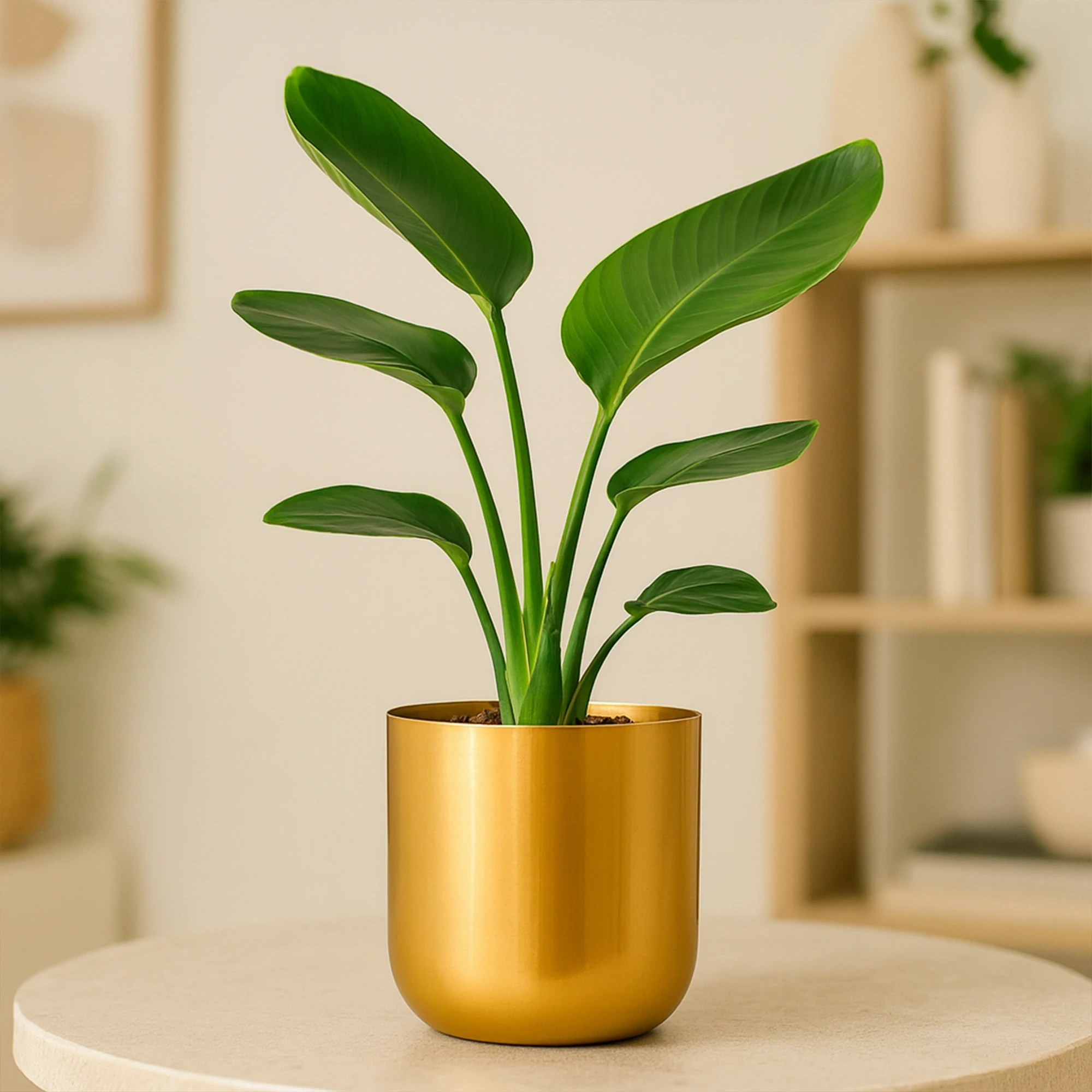 Metallic Miniature Planter (Gold - Pack of 1) Metal Planter Urban Plant 