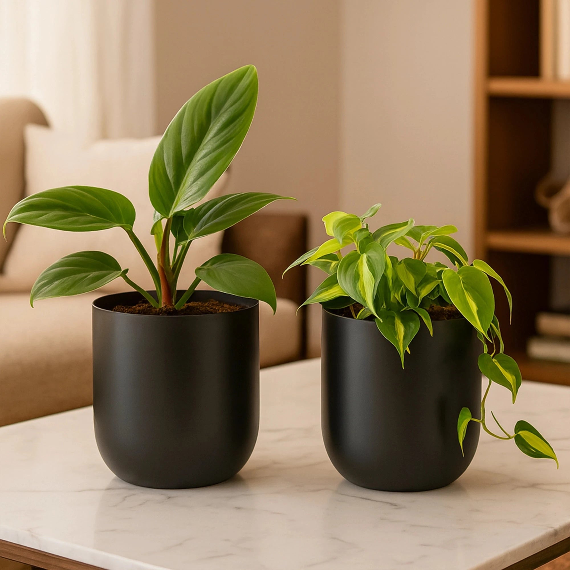 Metallic Miniature Planter (Black - Pack of 2) Metal Planter Urban Plant 