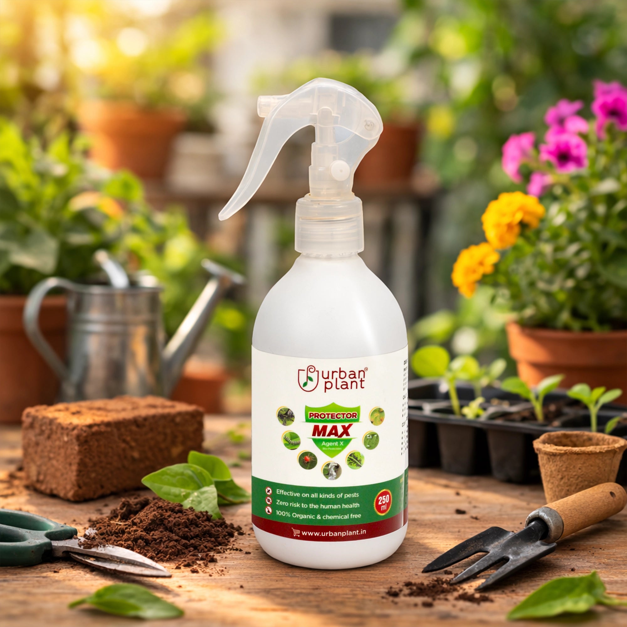 Protector MAX Pest Control for Vegetables, Fruits, and Greenie Plant Diet Urban Plant 