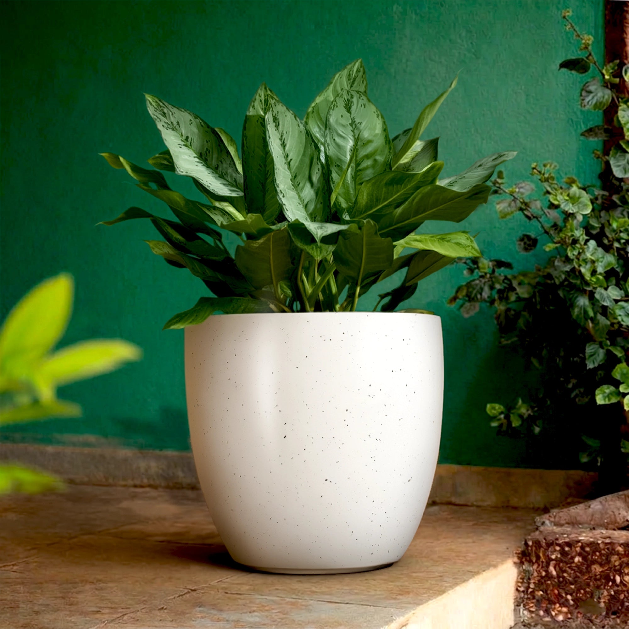 CURVA Planter – M14 (5 Years Warranty) | Urban Plant