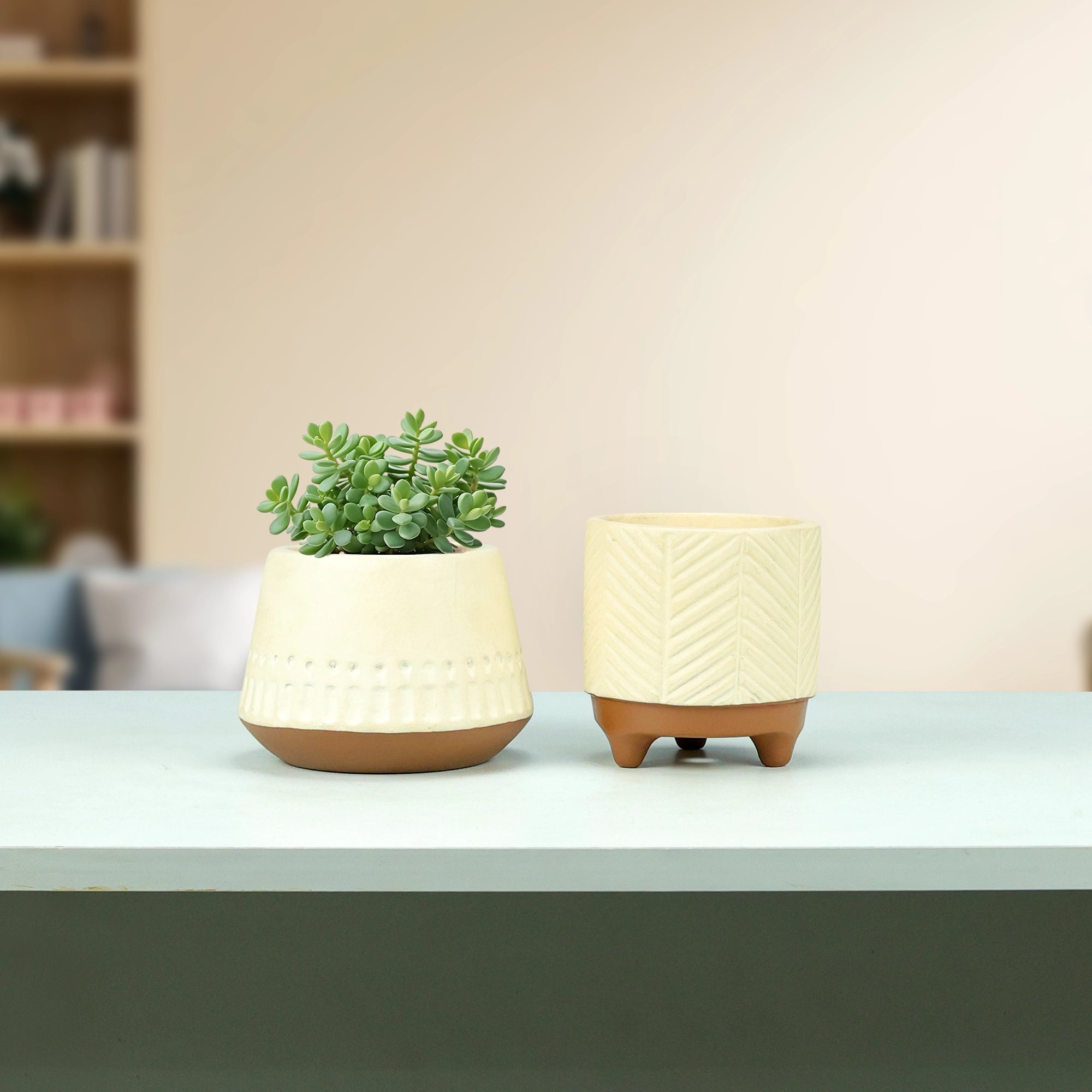 Terracotta Wonders - (Set of 2) Terracotta Pot Urban Plant Terracotta Aura 
