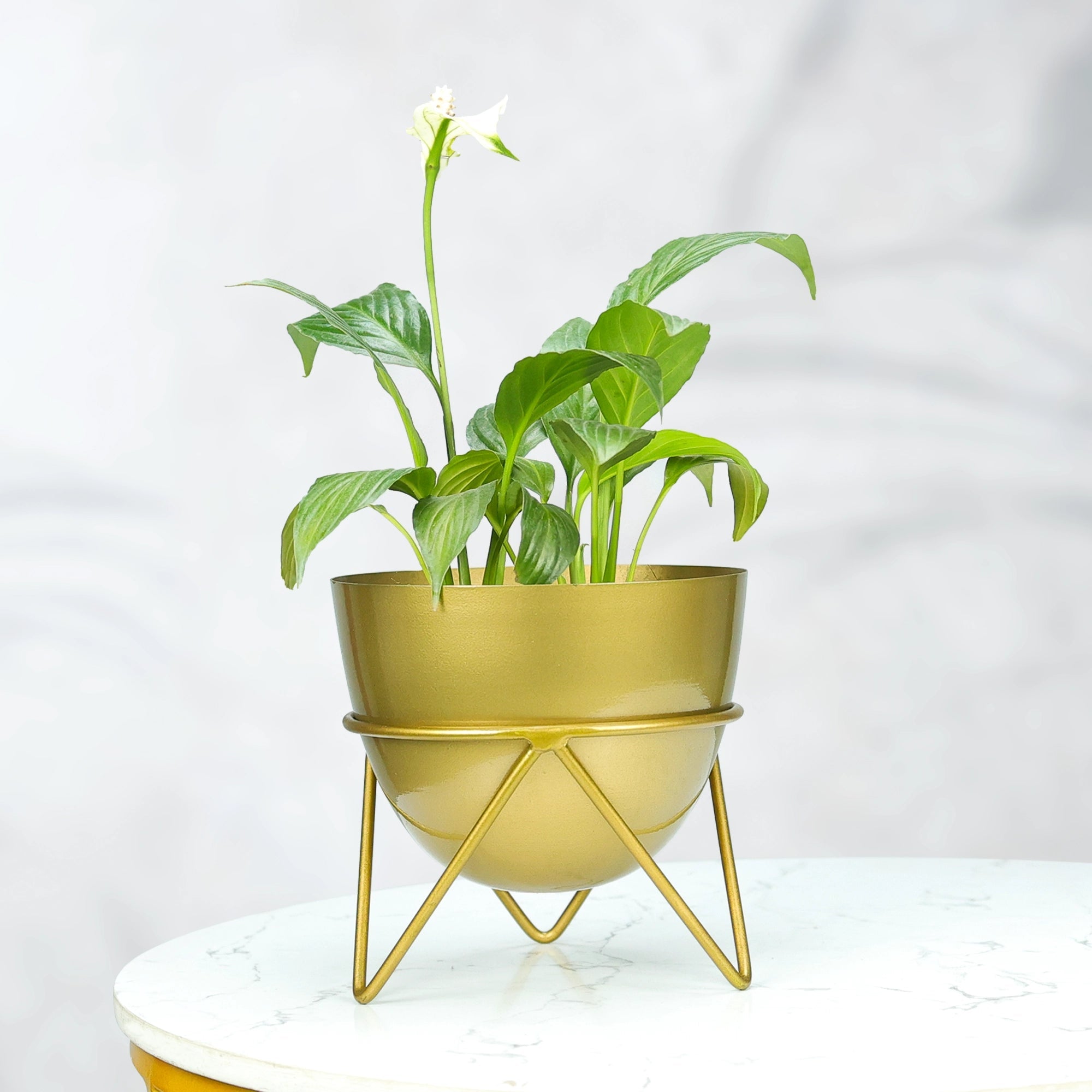 Ember Gold Metal Planter Urban Plant 