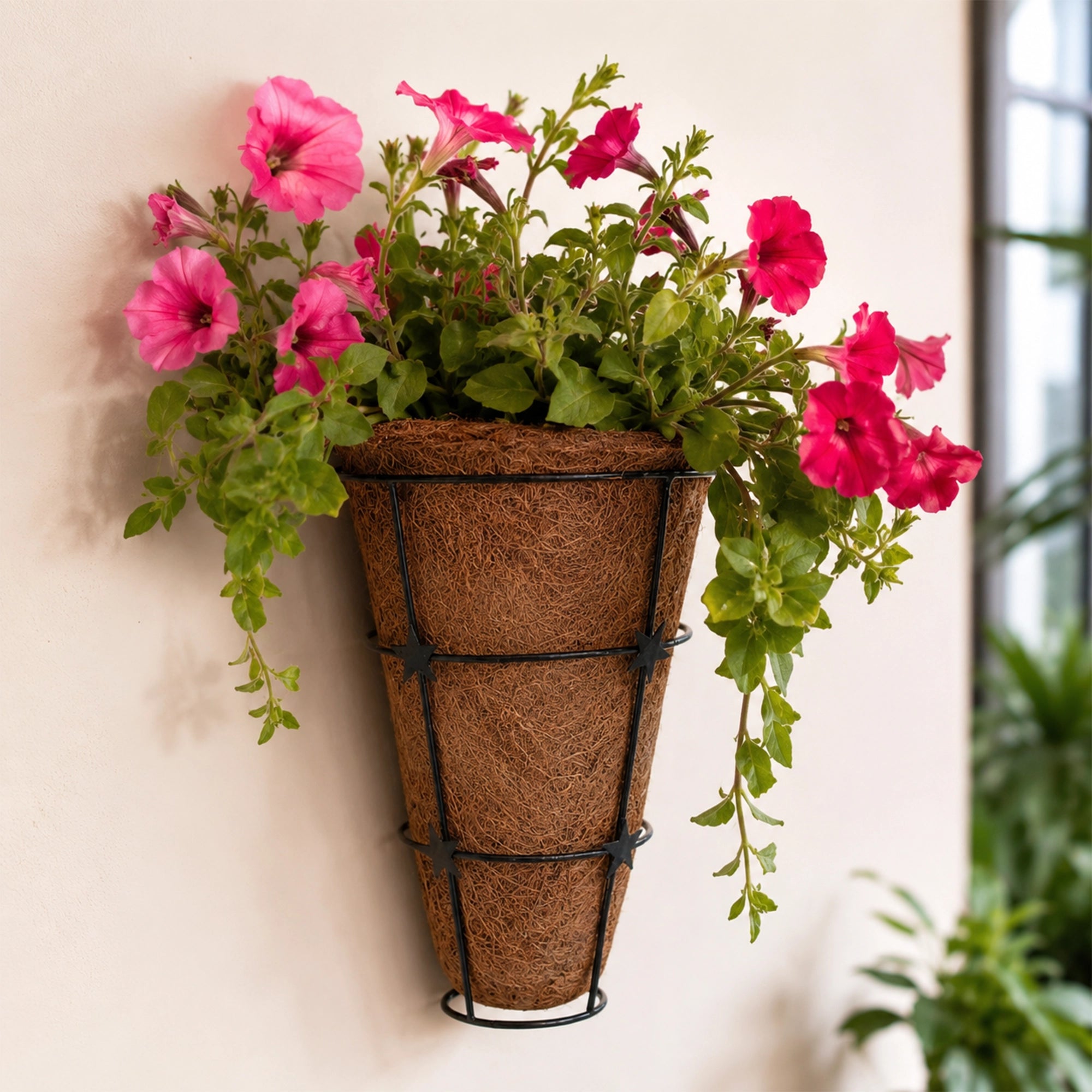 Urban Plant CONE coir wall planter with natural coir liner and sturdy black metal frame