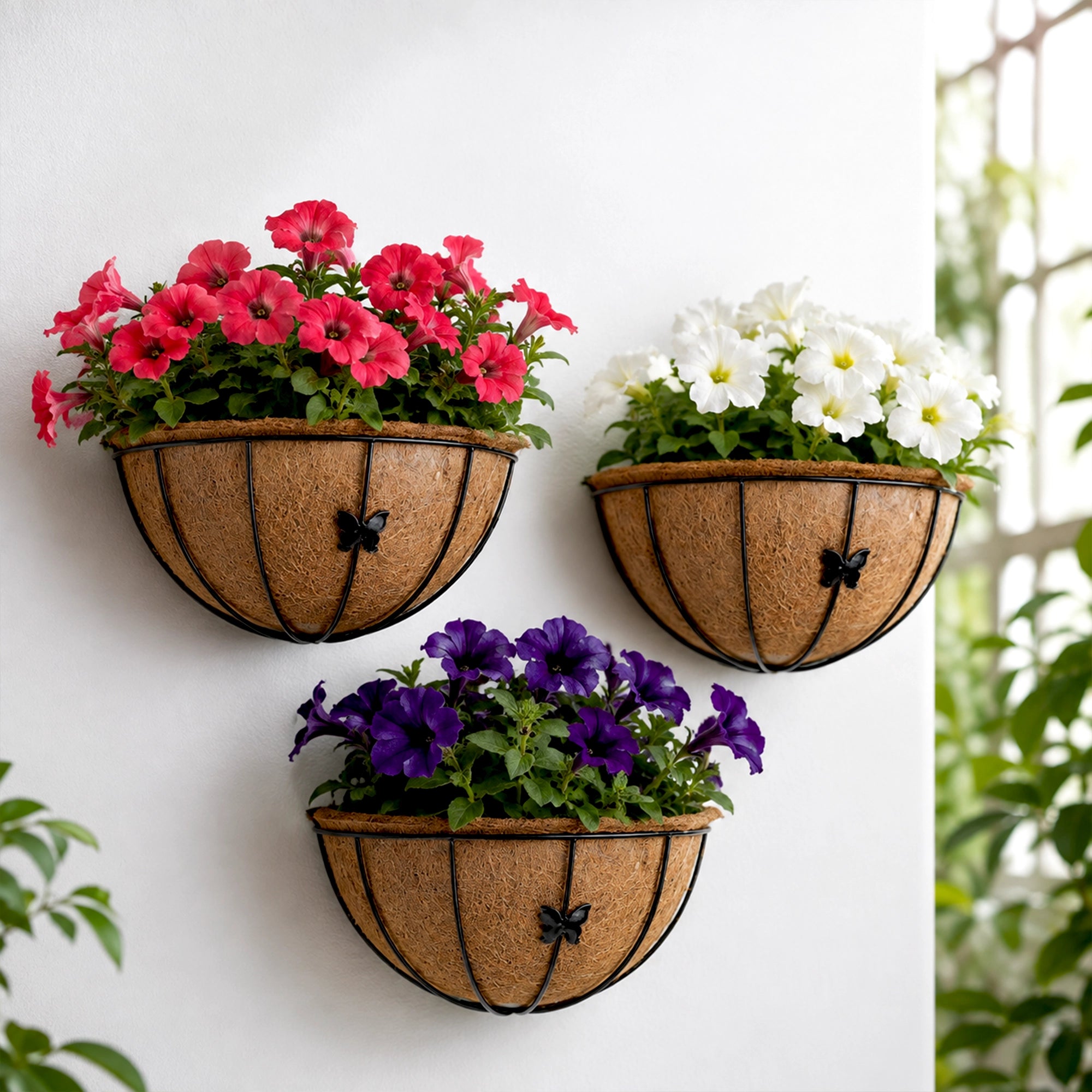 Urban Plant HALF MOON coir wall planter with natural coir liner and decorative metal basket frame