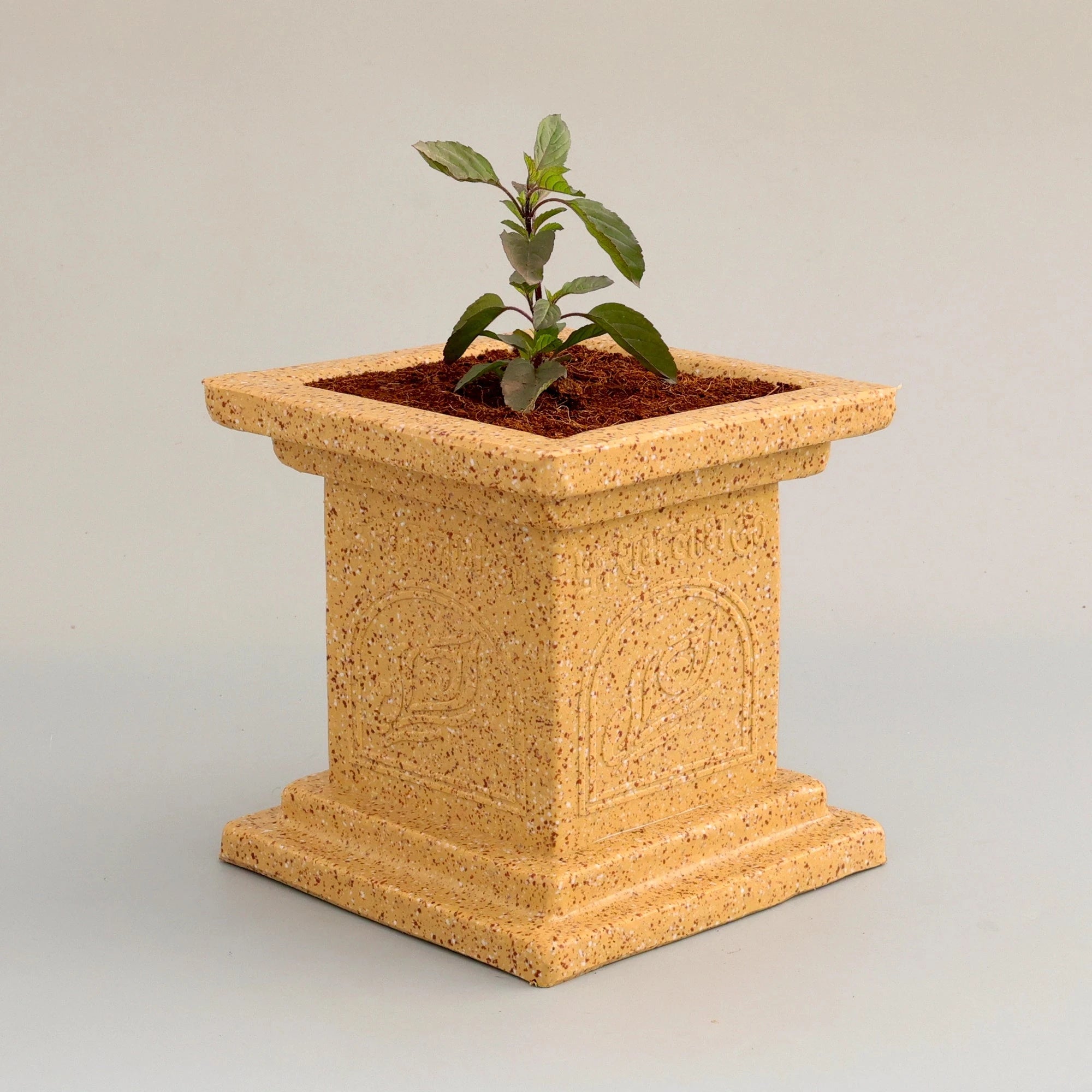 Tulsi Vatika Pot (Cream) Plastic Pot Urban Plant 