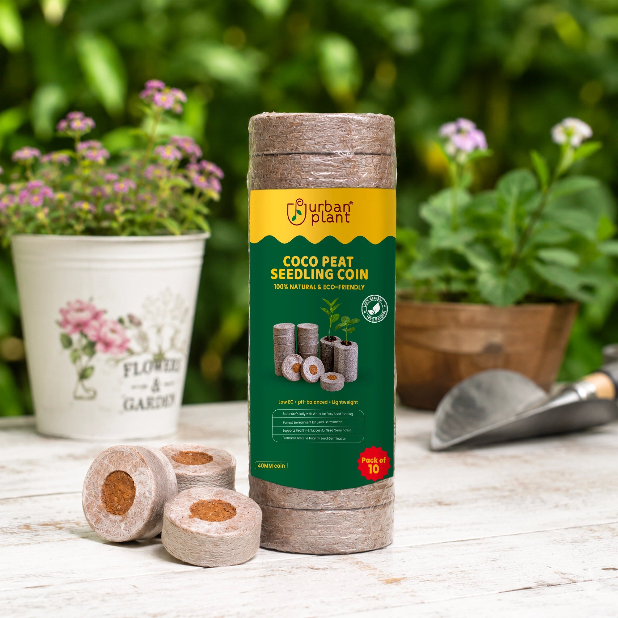 Cocopeat Seedling Coin - (with Plug)