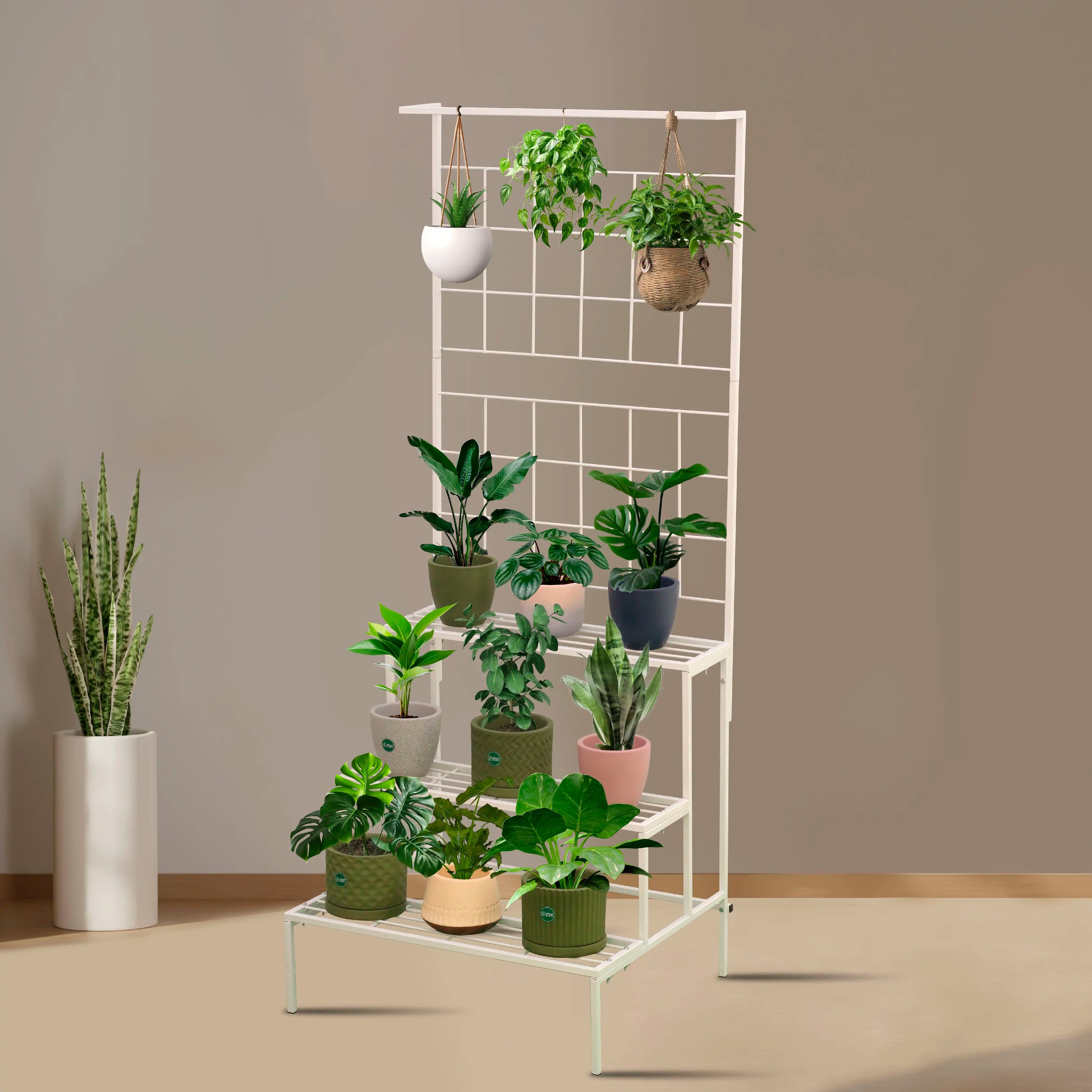 Statuesque Multipurpose Plant Stand - 5 Feet Tall Urban Plant White 