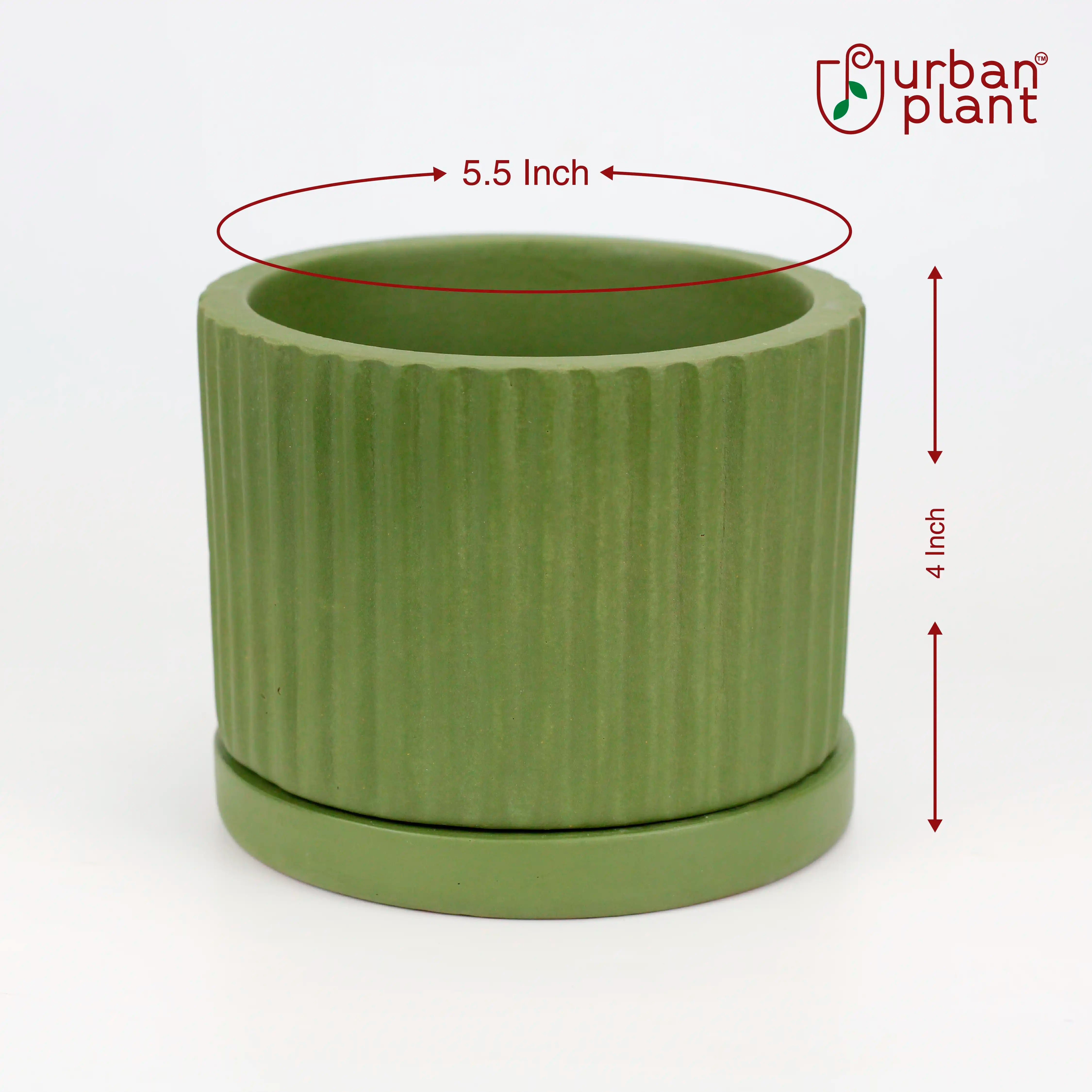 Fresh Breath Terracotta Pot with Saucer Urban Plant 