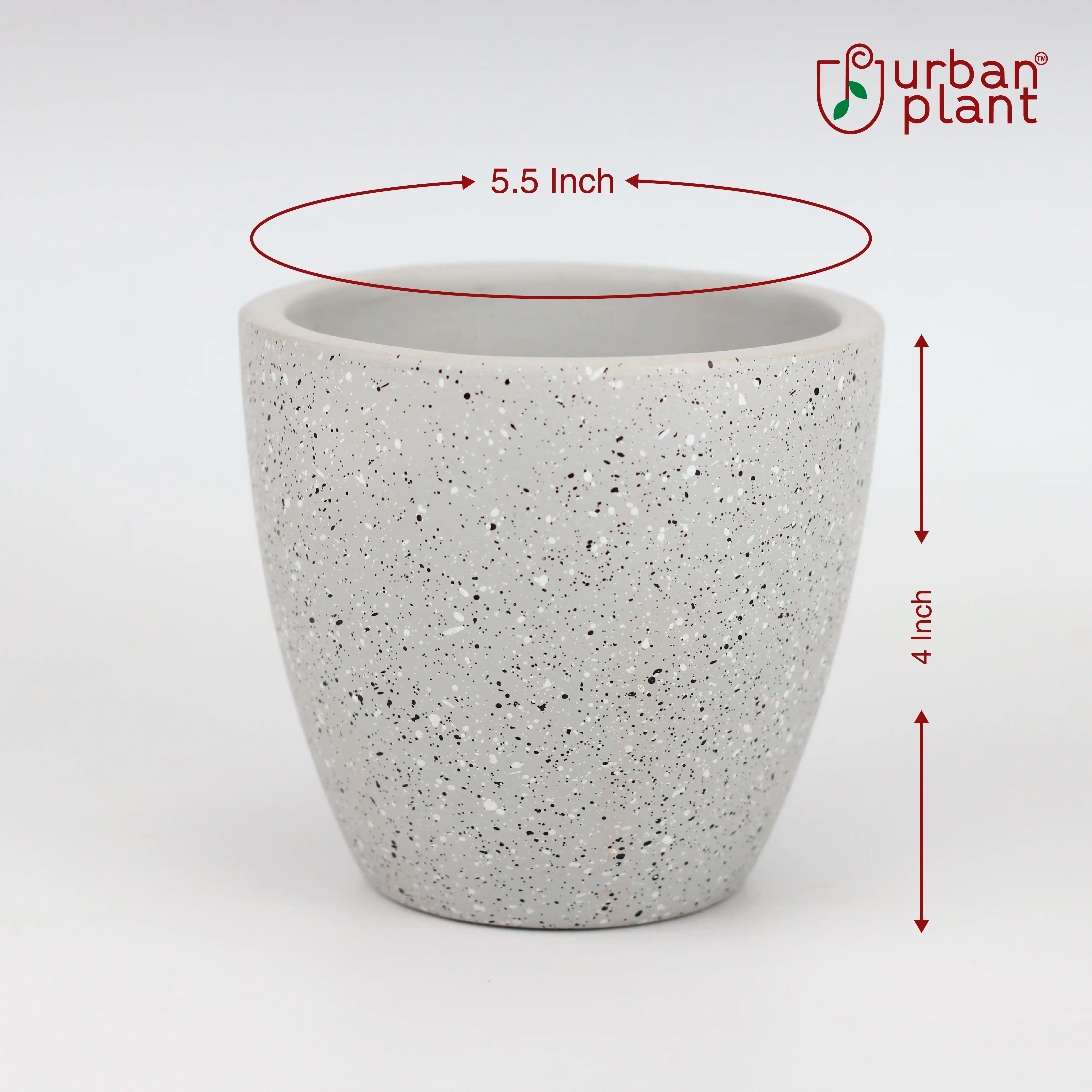 Terrazzo Terracotta Pot with FREE Wooden Saucer Urban Plant 