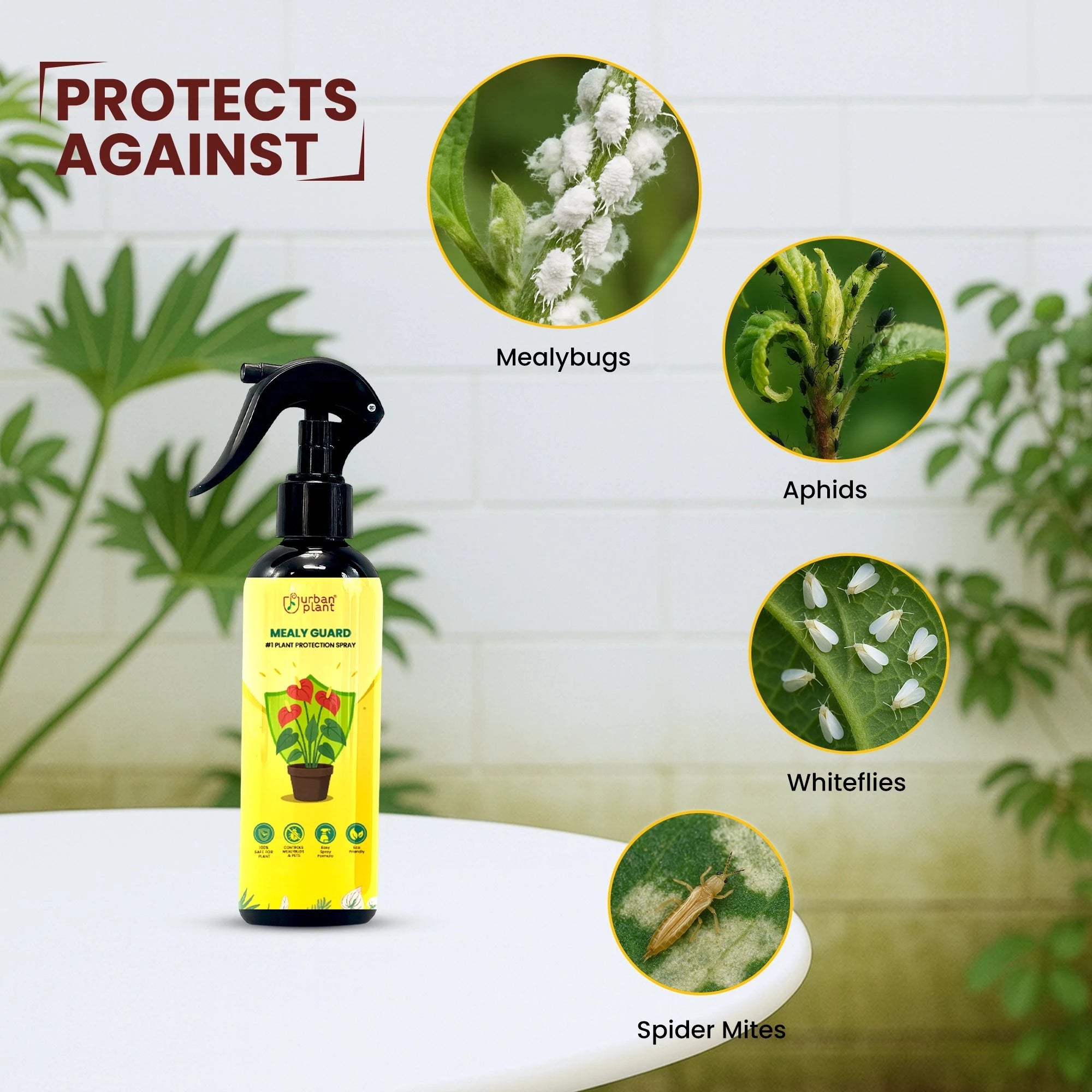 Urban Plant Mealy Guard – Natural Plant Protection Spray for Mealy Bugs & Pests Urban Plant 