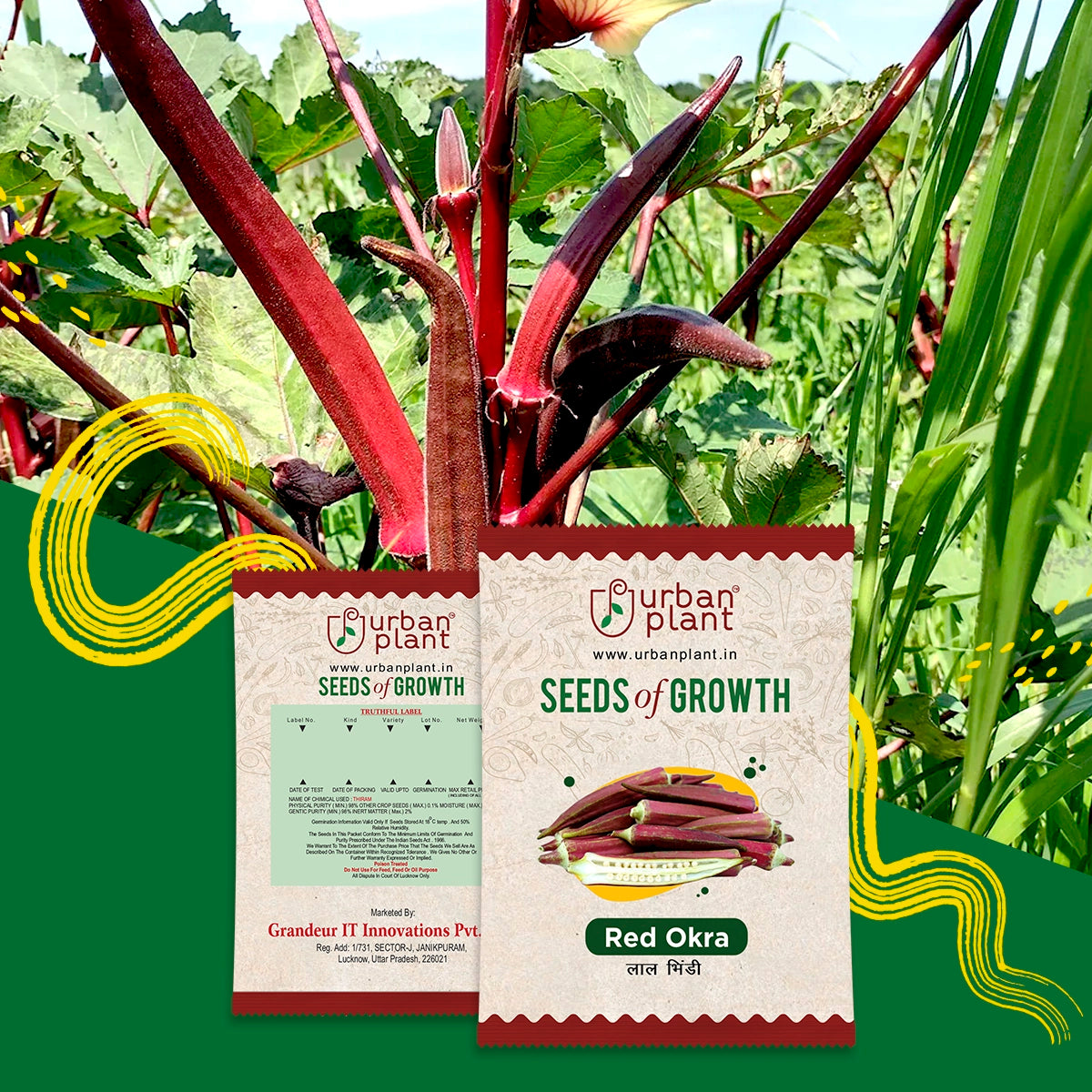 Red Okra Seeds (Lady Finger) Urban Plant 