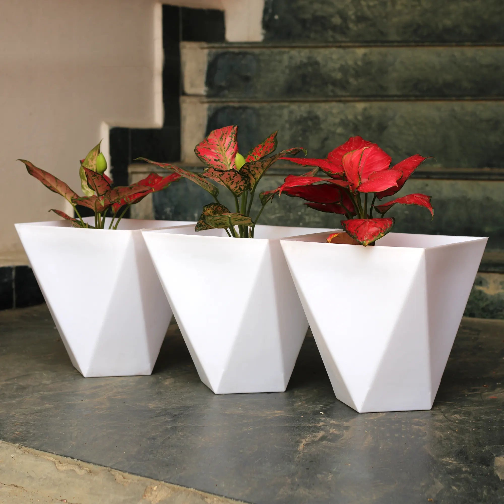 Urban Plant Octawave Planter Pot (Set Of 3) Urban Plant White 