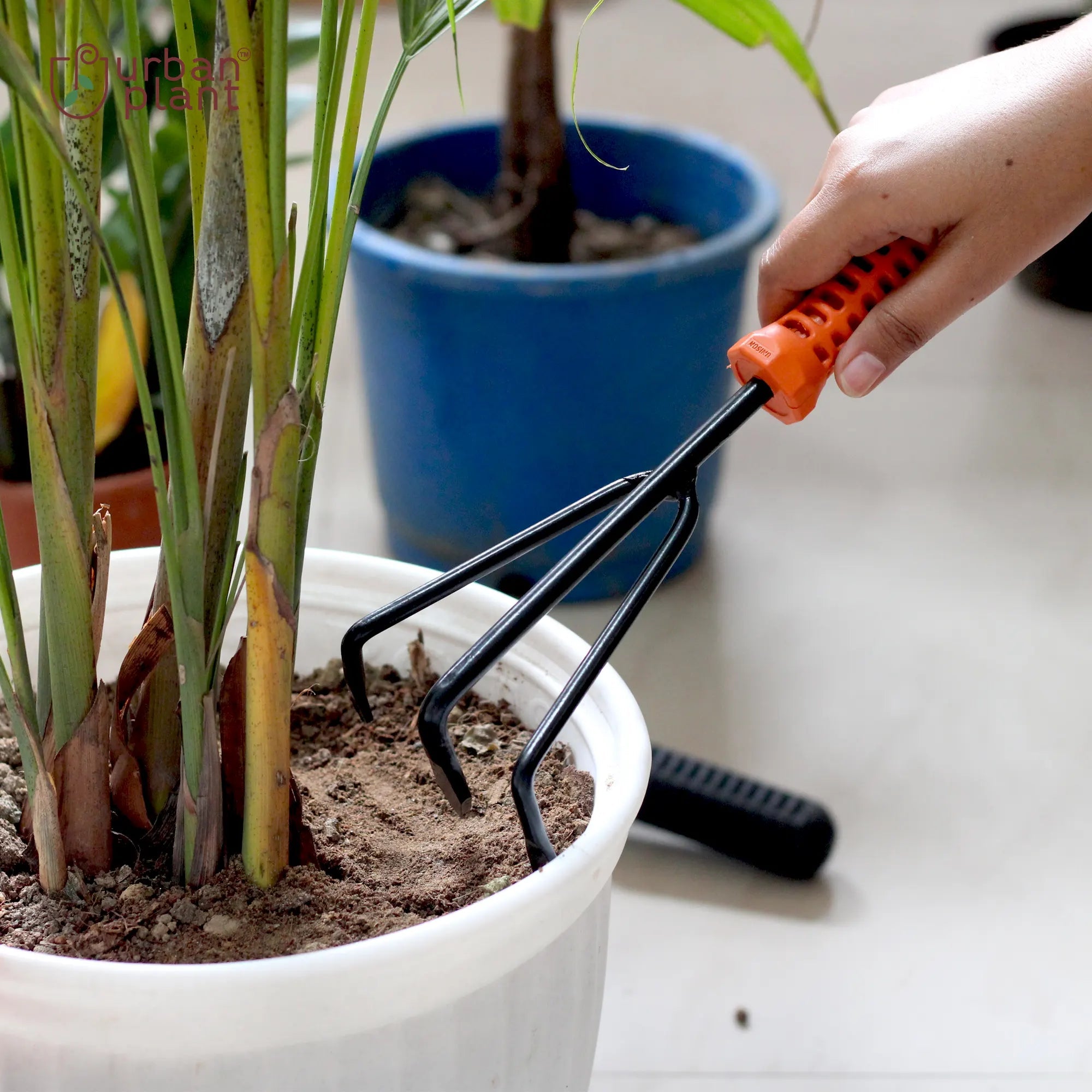 Garden Hand Cultivator Urban Plant 