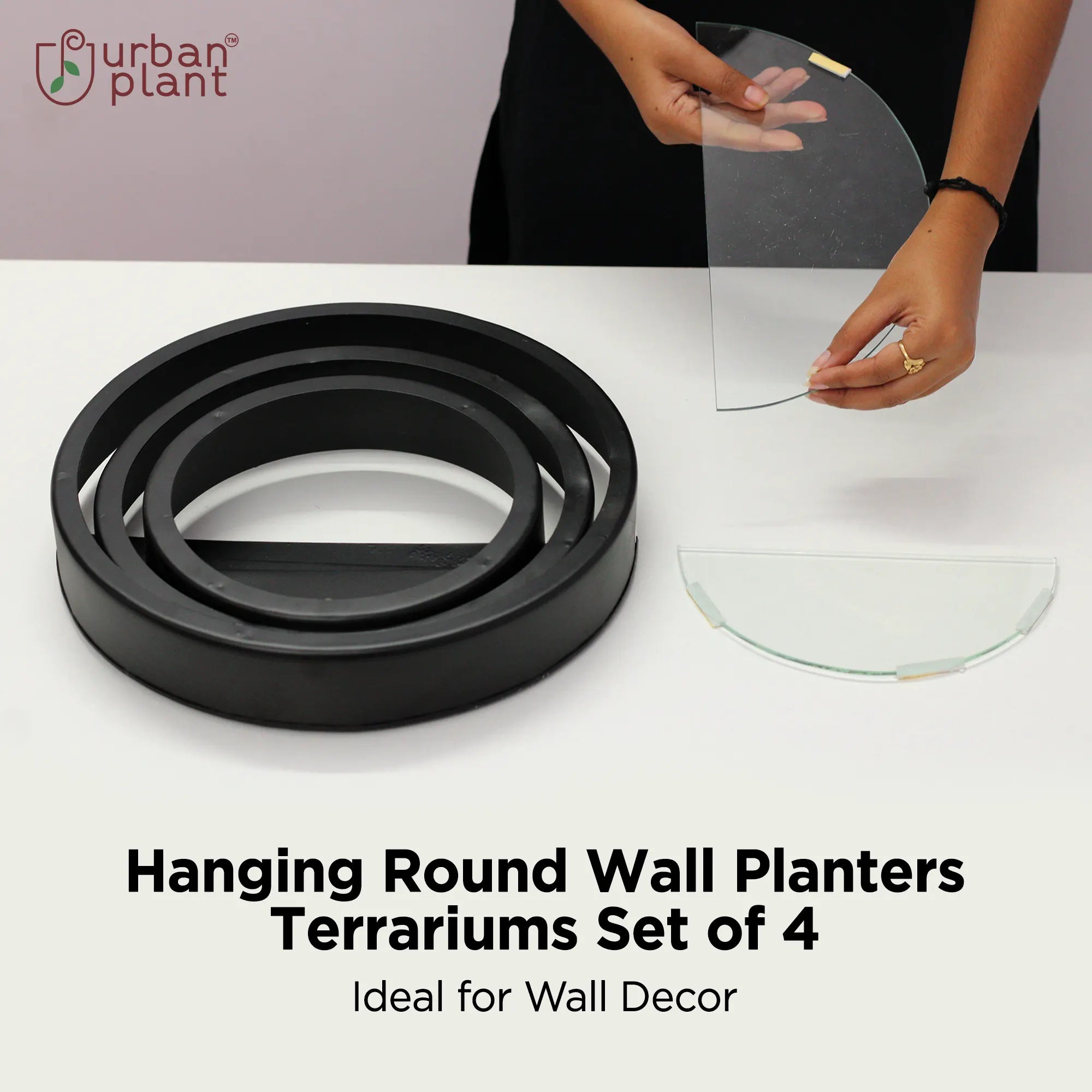 Hanging Round Wall Planters - Terrariums Set of 4 - Wall Mounted Plant Holder for Indoor & Outdoor Wall Hanging Planter Urban Plant 